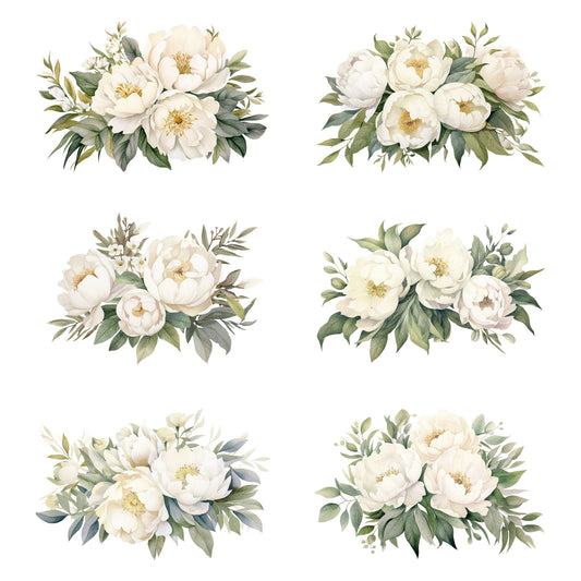 Clipart floral de peonía blanca marfil en acuarela