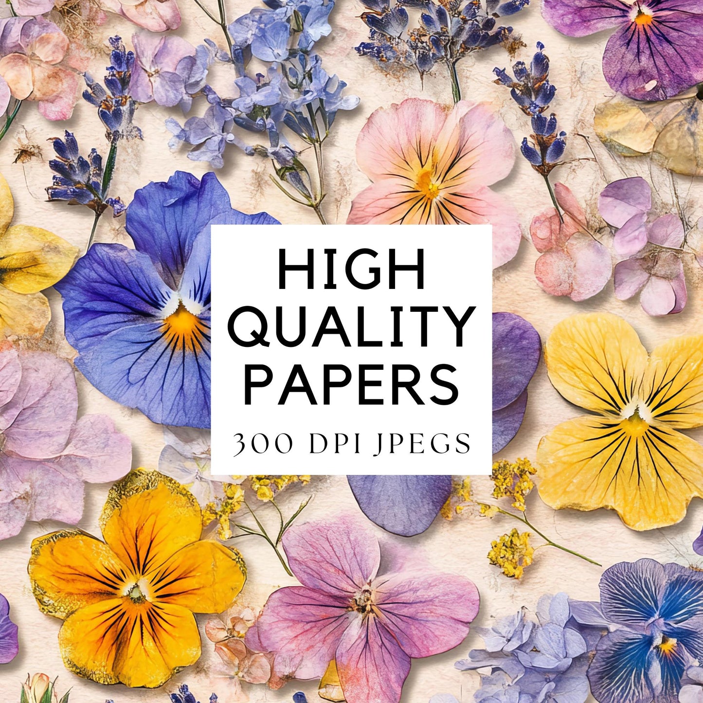 Watercolor Dried Flowers Digital Papers