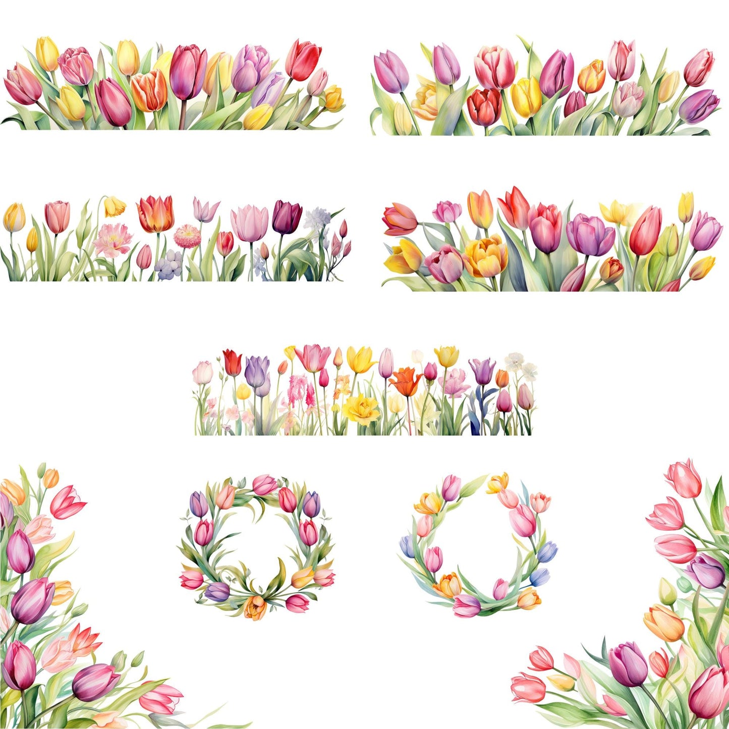 Clipart floral de tulipán en acuarela