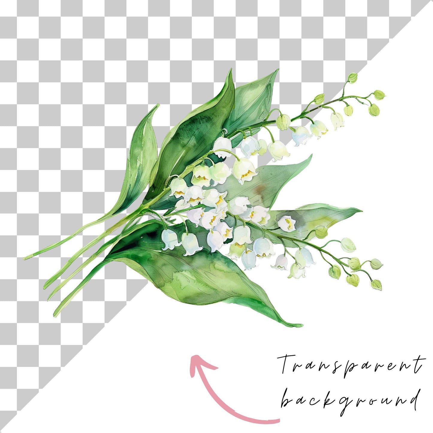 Watercolor Lily of the Valley Floral Clipart