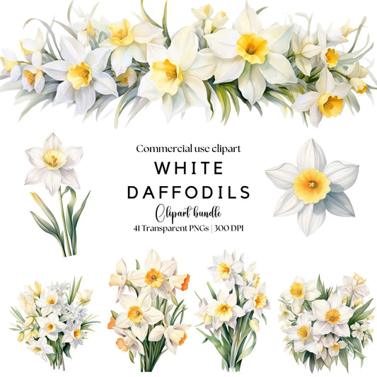 Clipart de narciso blanco