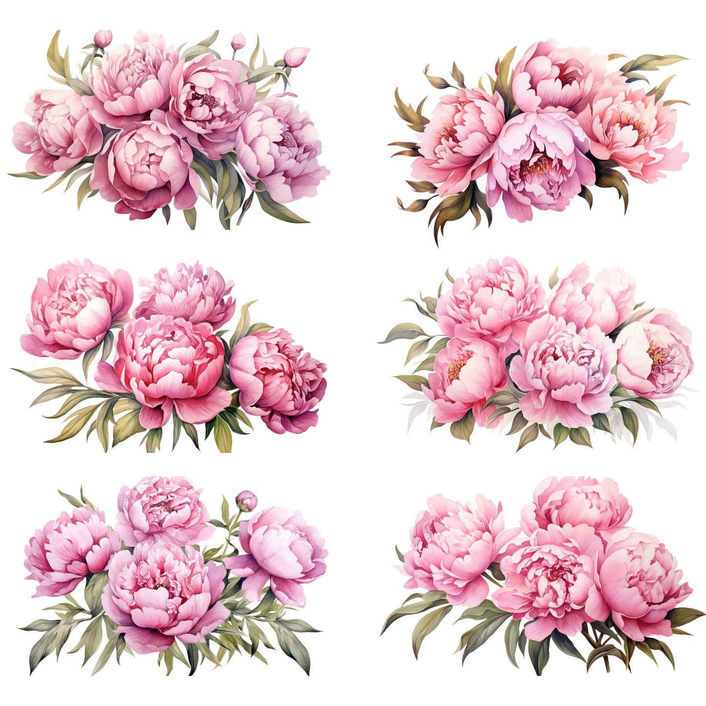 Watercolor Dusty Pink Peony Clipart