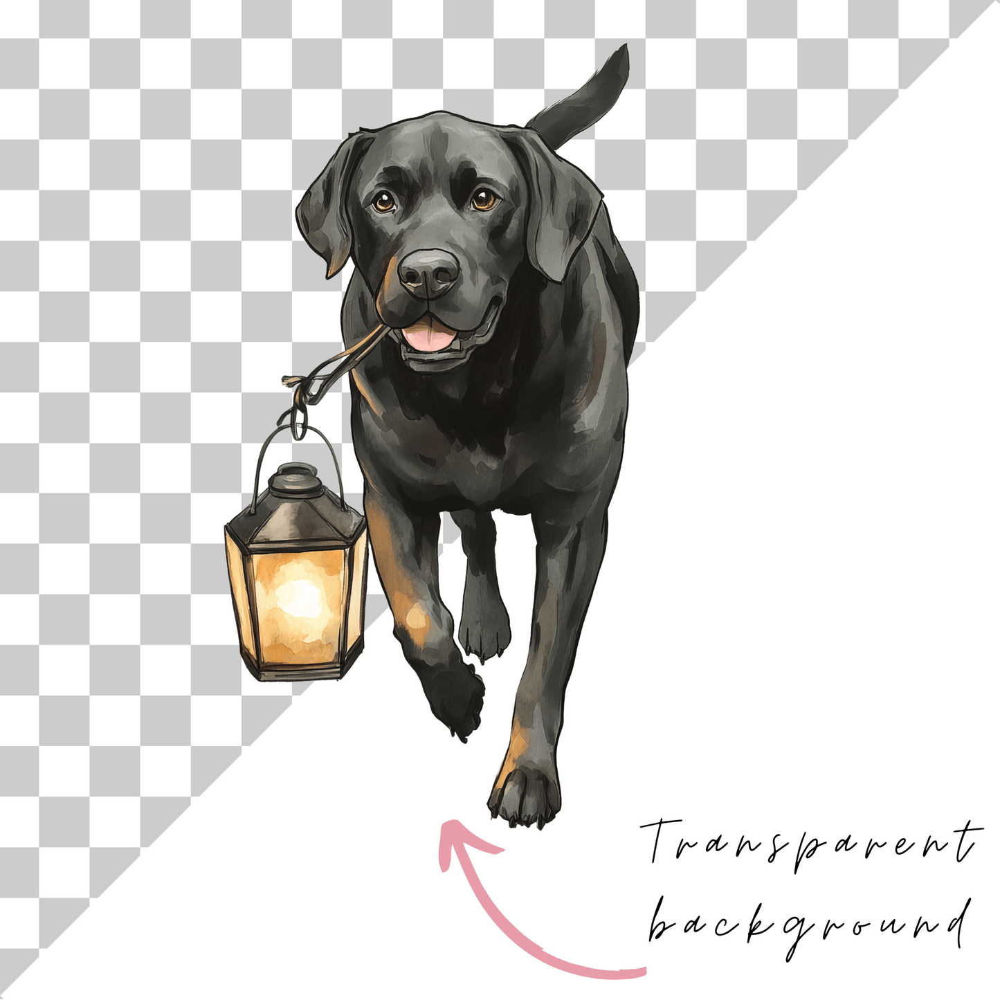 A black dog is walking and holding a lantern in its mouth, with a transparent background.