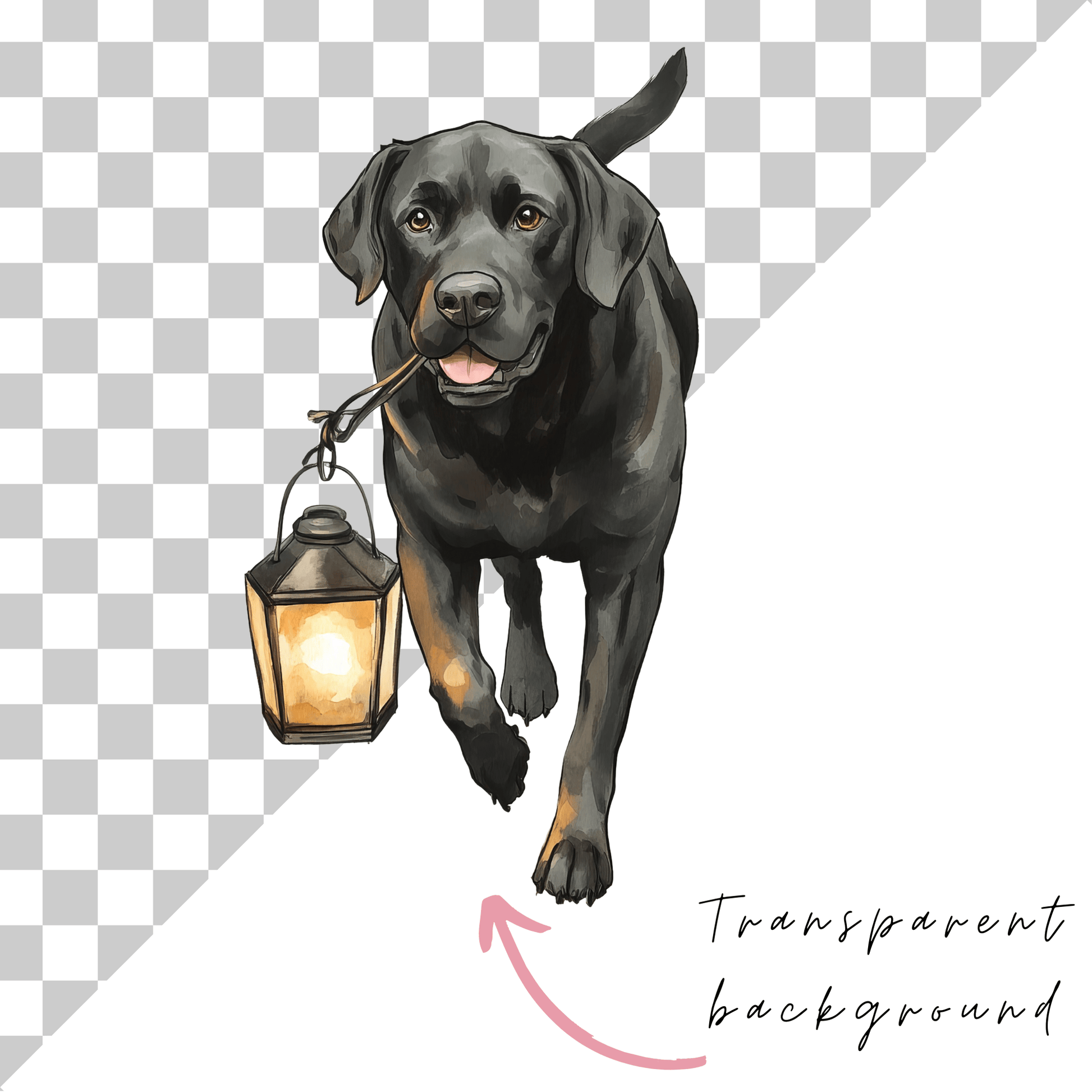 A black dog is walking and holding a lantern in its mouth, with a transparent background.