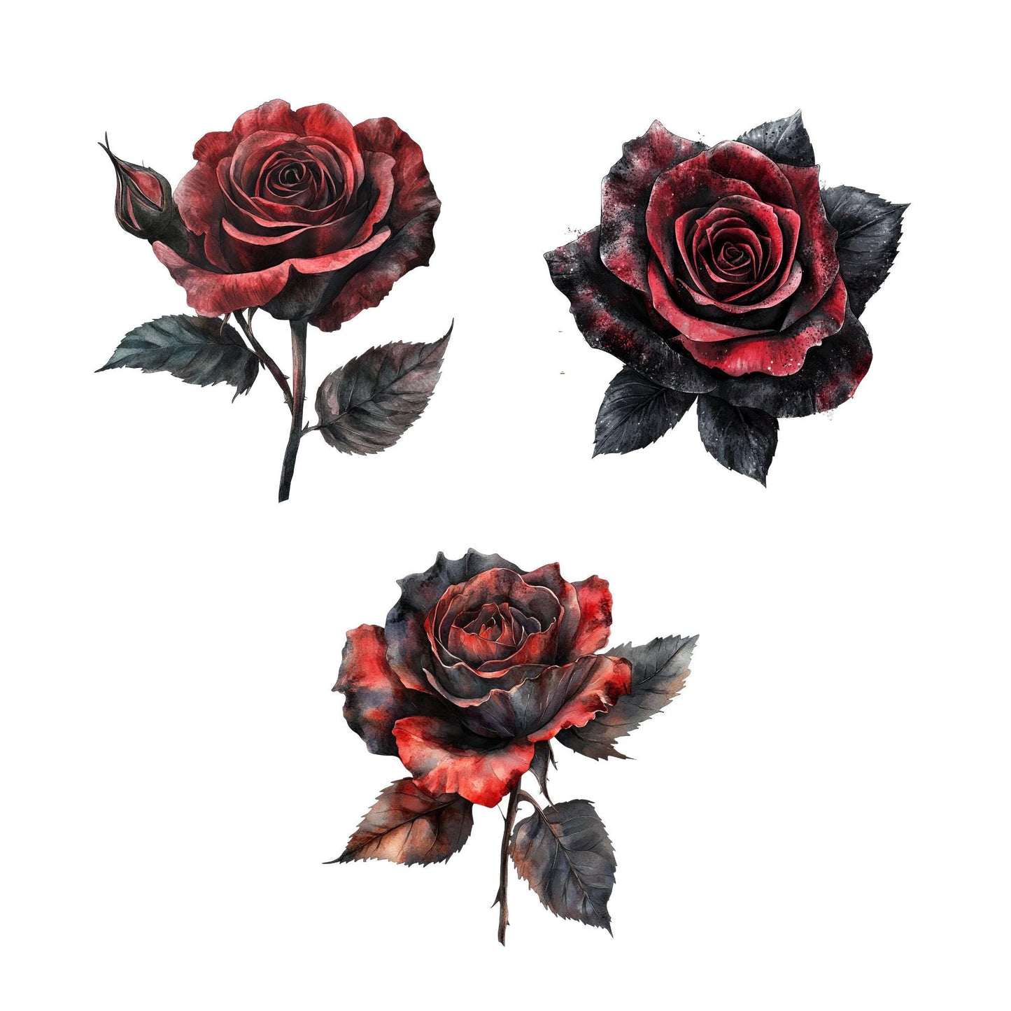 Clipart de rosas góticas
