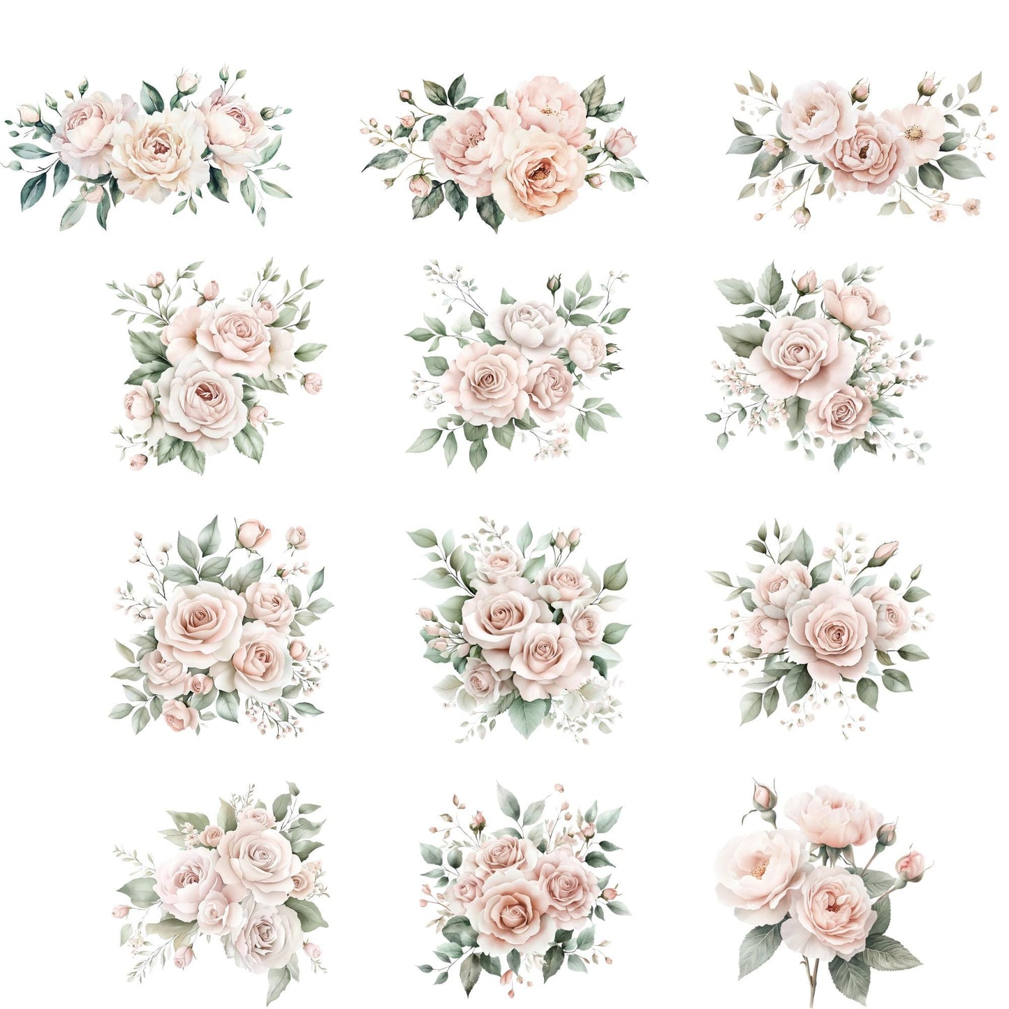 Clipart de rosa y peonía rosa polvorienta