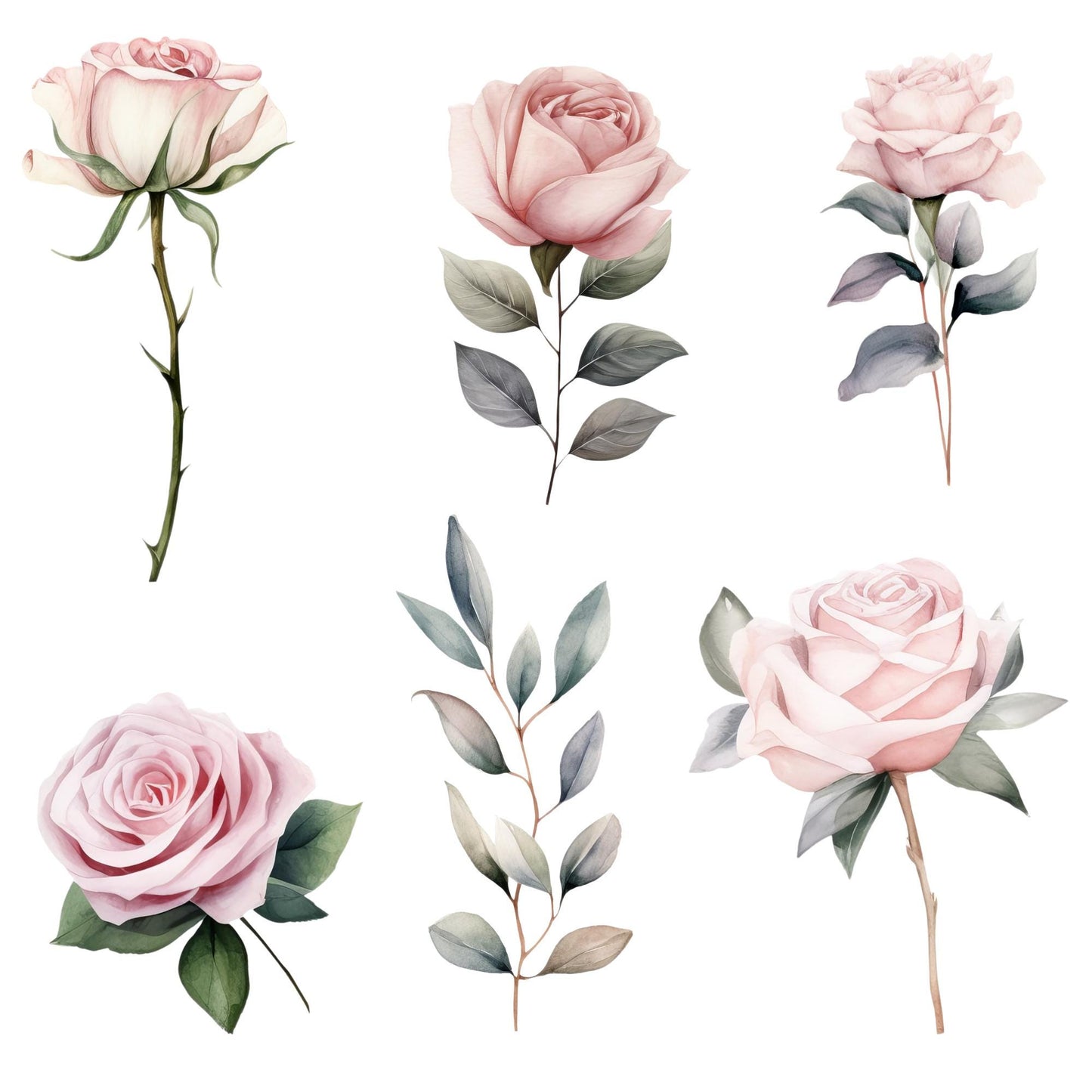 Clipart de rosa polvorienta rosa