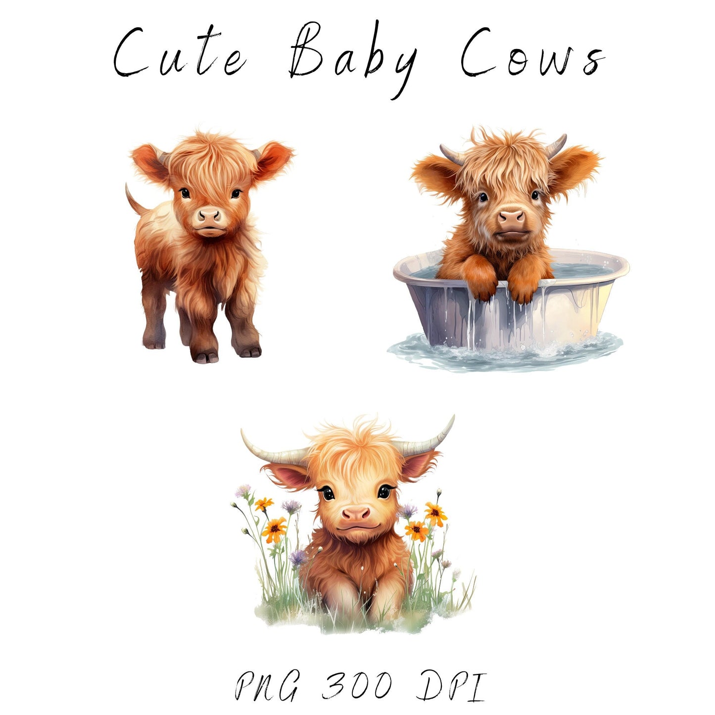 Watercolor Baby Highland Cow Clipart