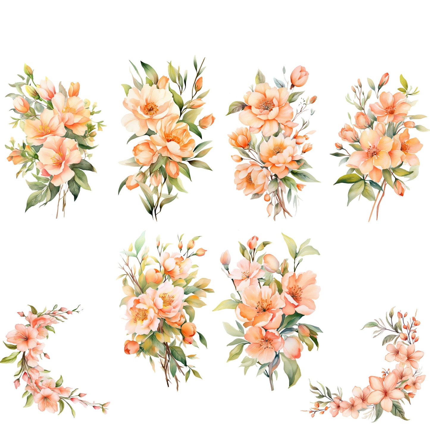 Clipart floral de melocotón en acuarela