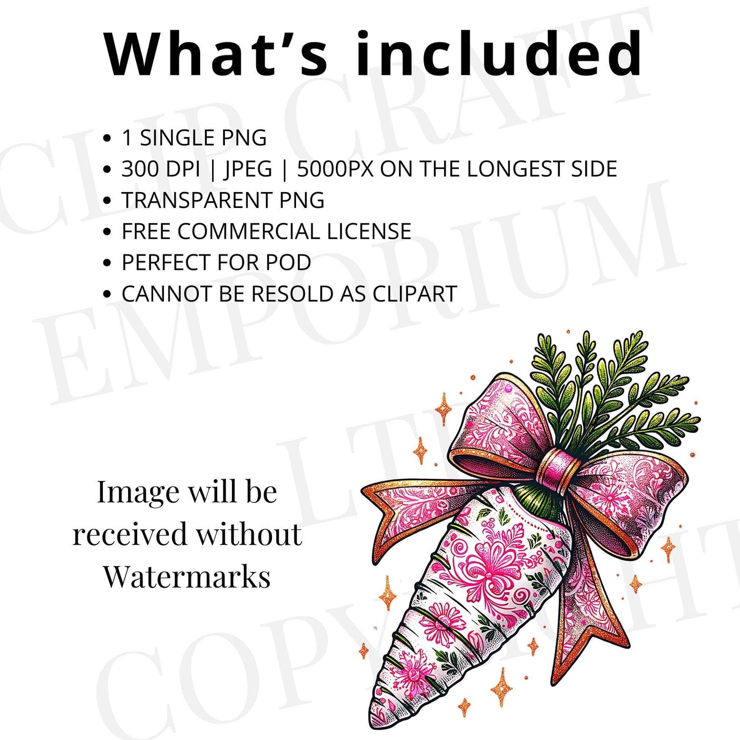 Floral Easter Carrot Coquette PNG