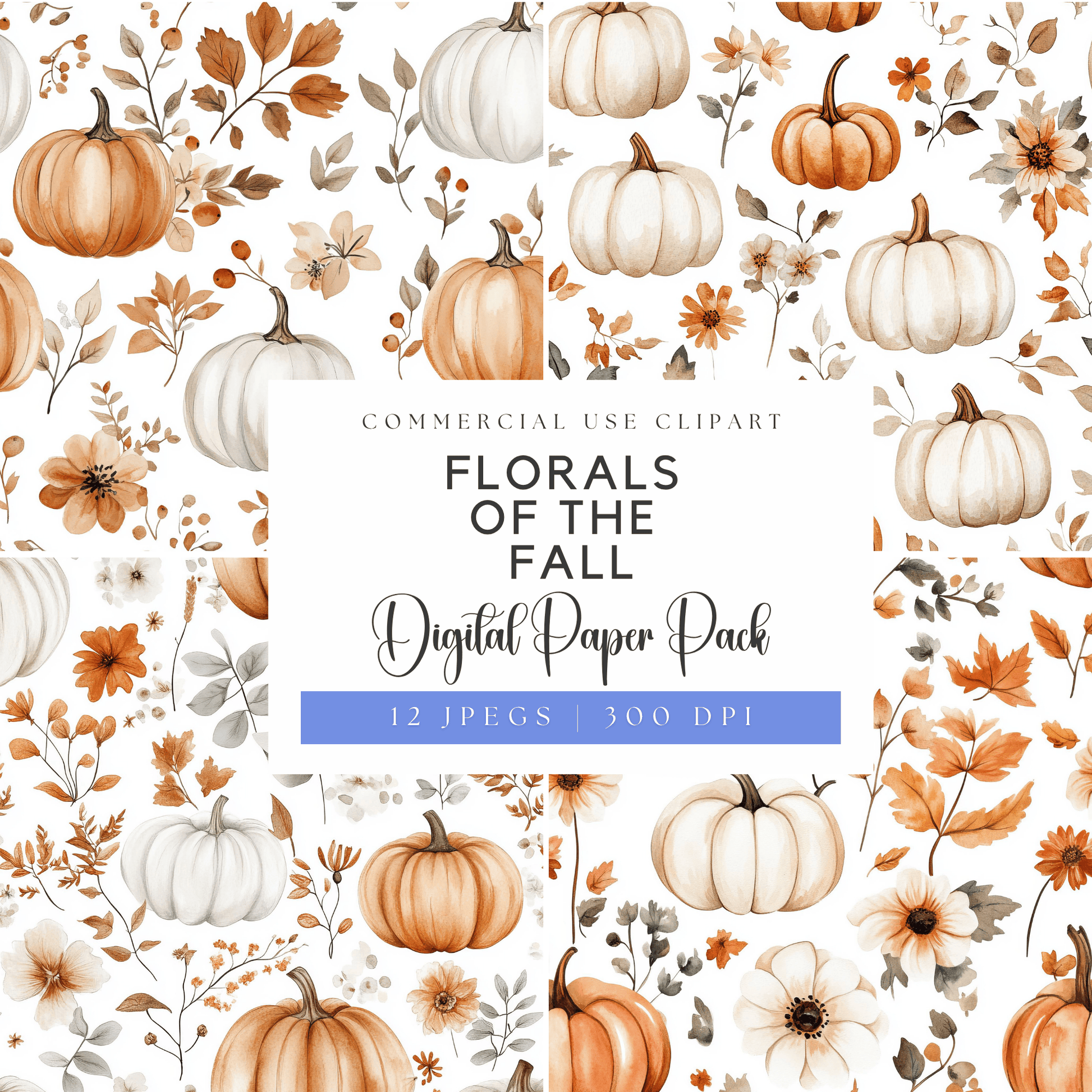 a white background with orange and white pumpkins and flowers