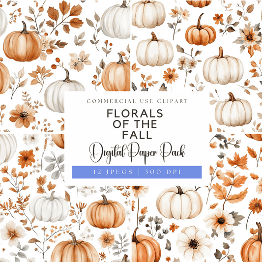 a white background with orange and white pumpkins and flowers