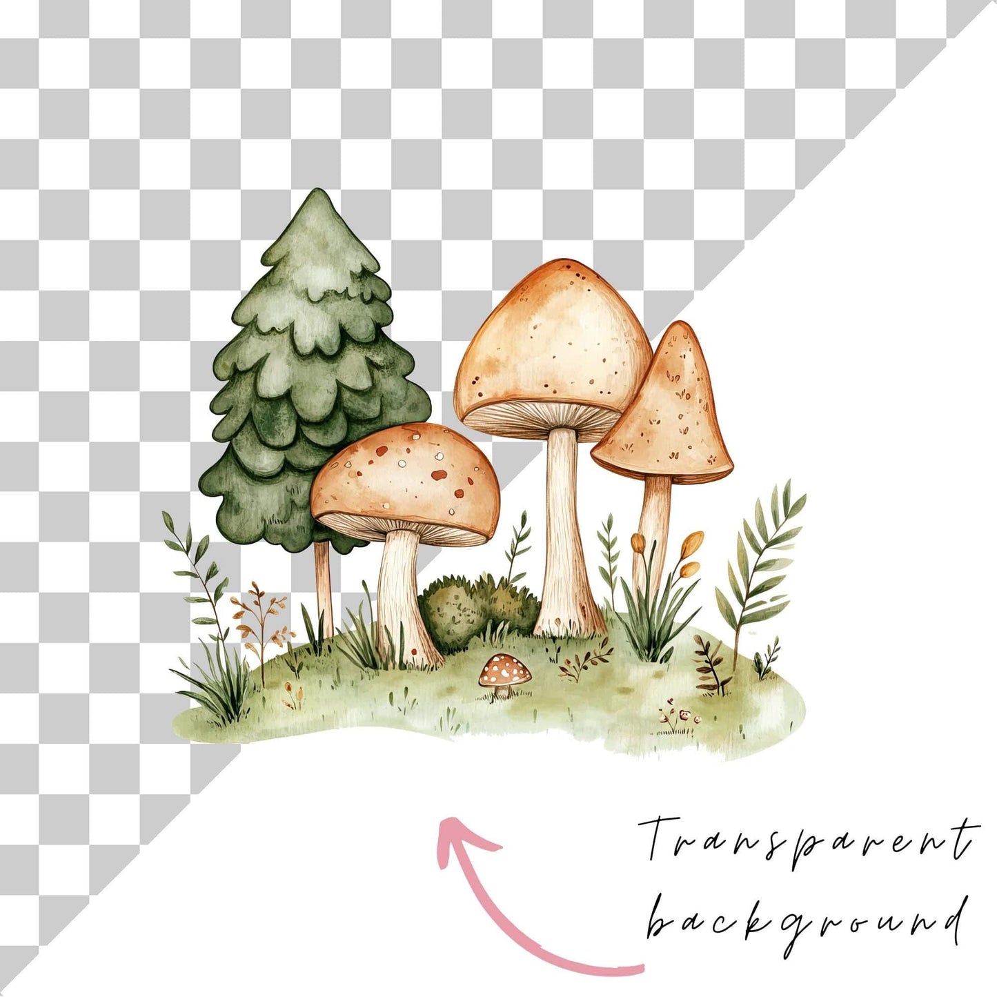 Forest Deer Clipart