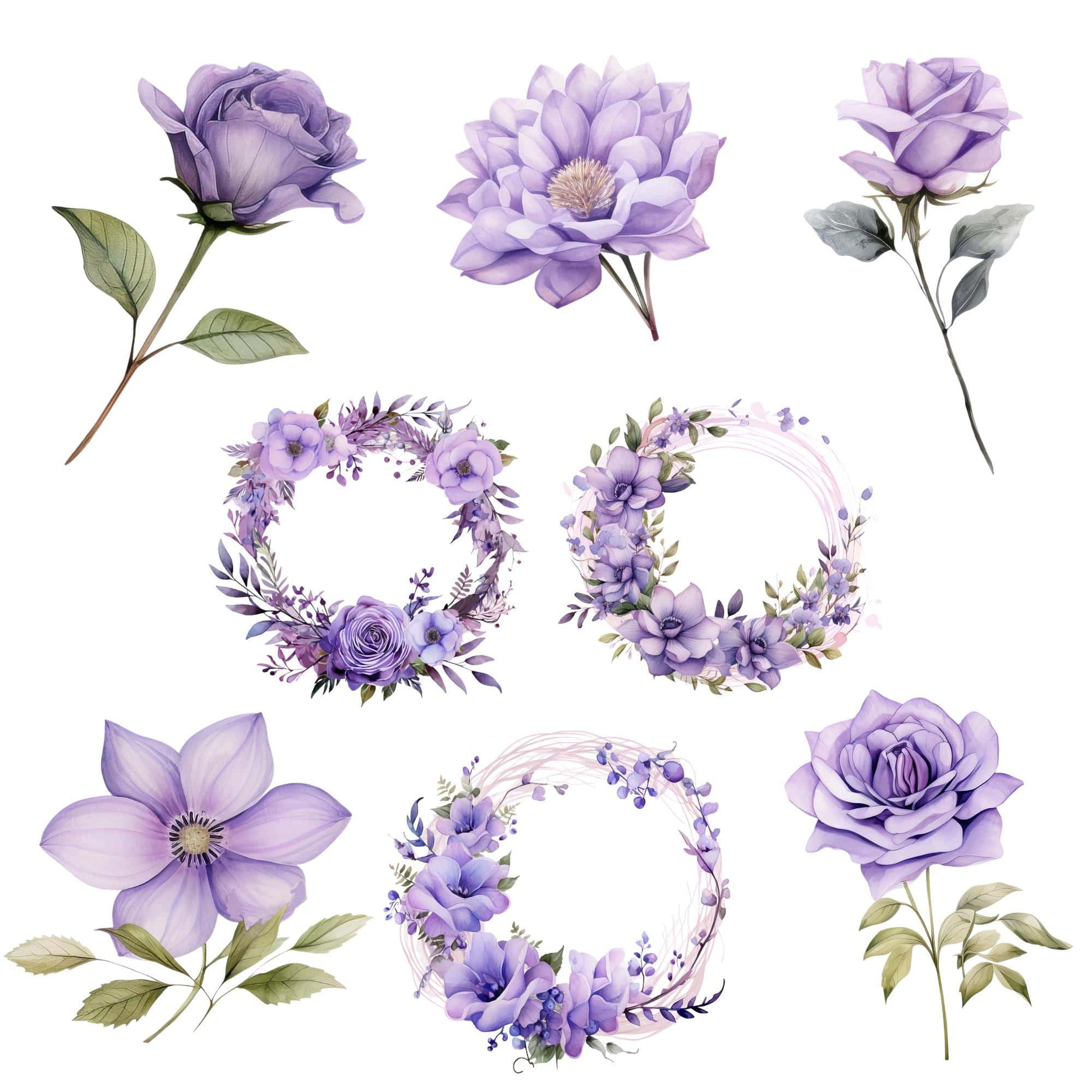 a bunch of flowers that are on a white background