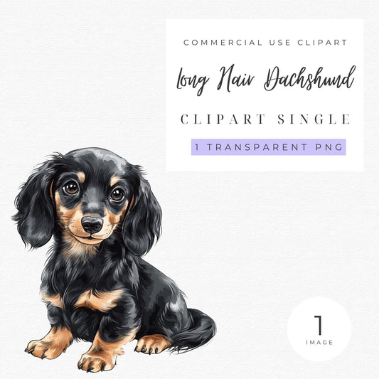 Long Hair Dachshund Clipart