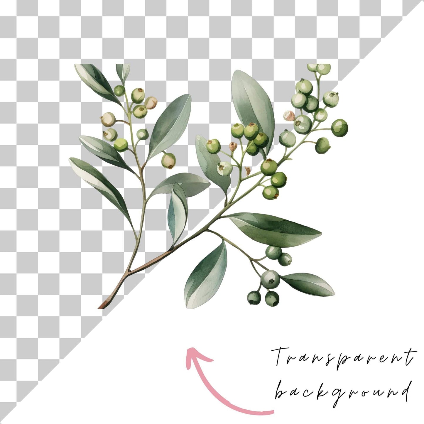 Mistletoe Clipart
