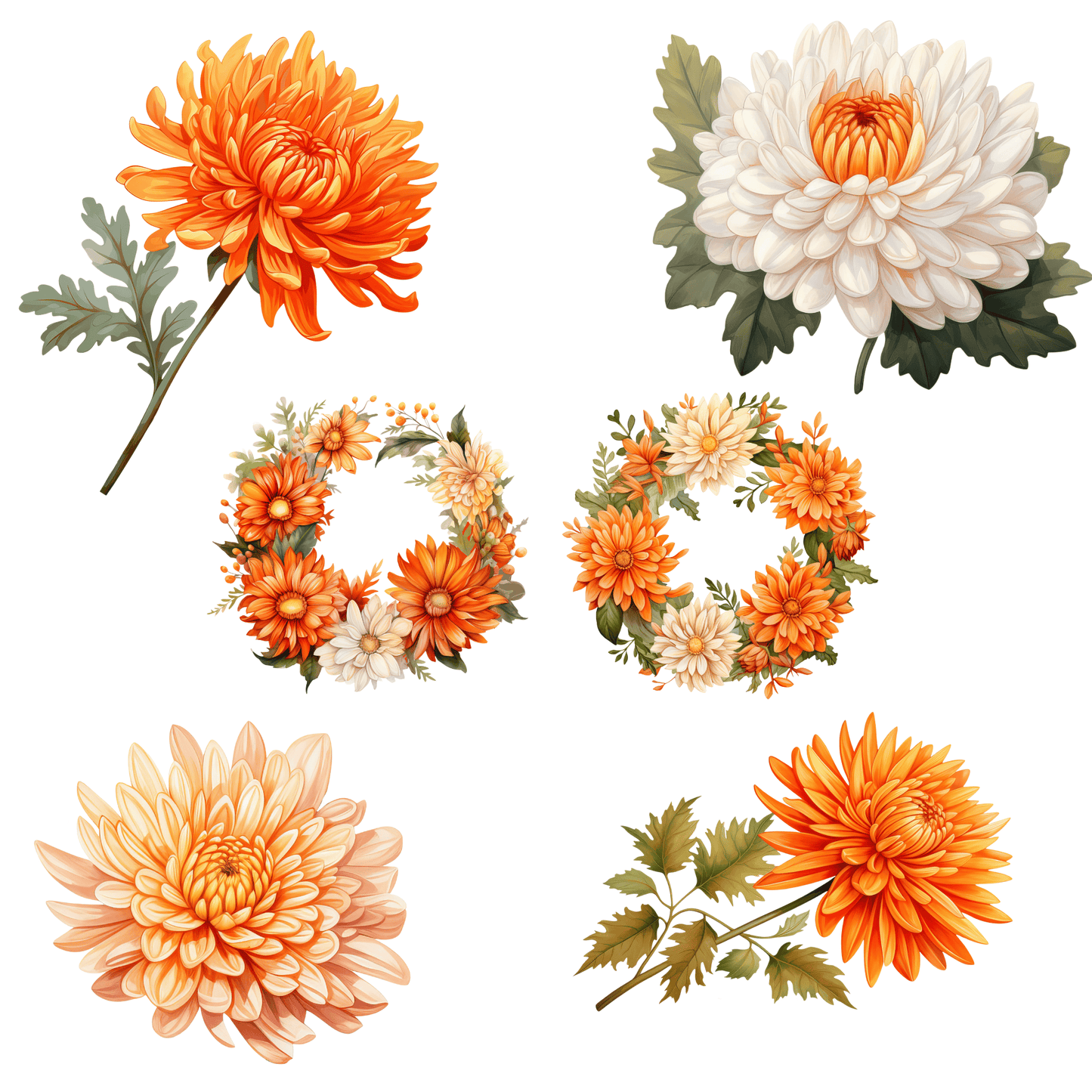 a bunch of flowers that are on a white background