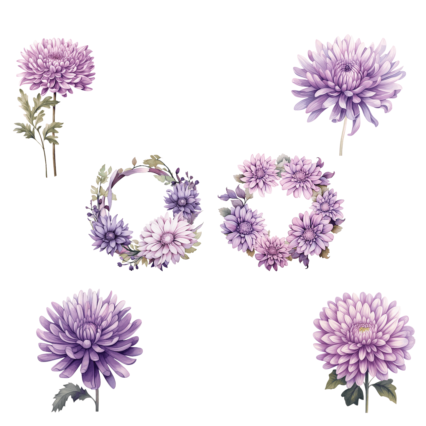 a bunch of flowers that are next to each other