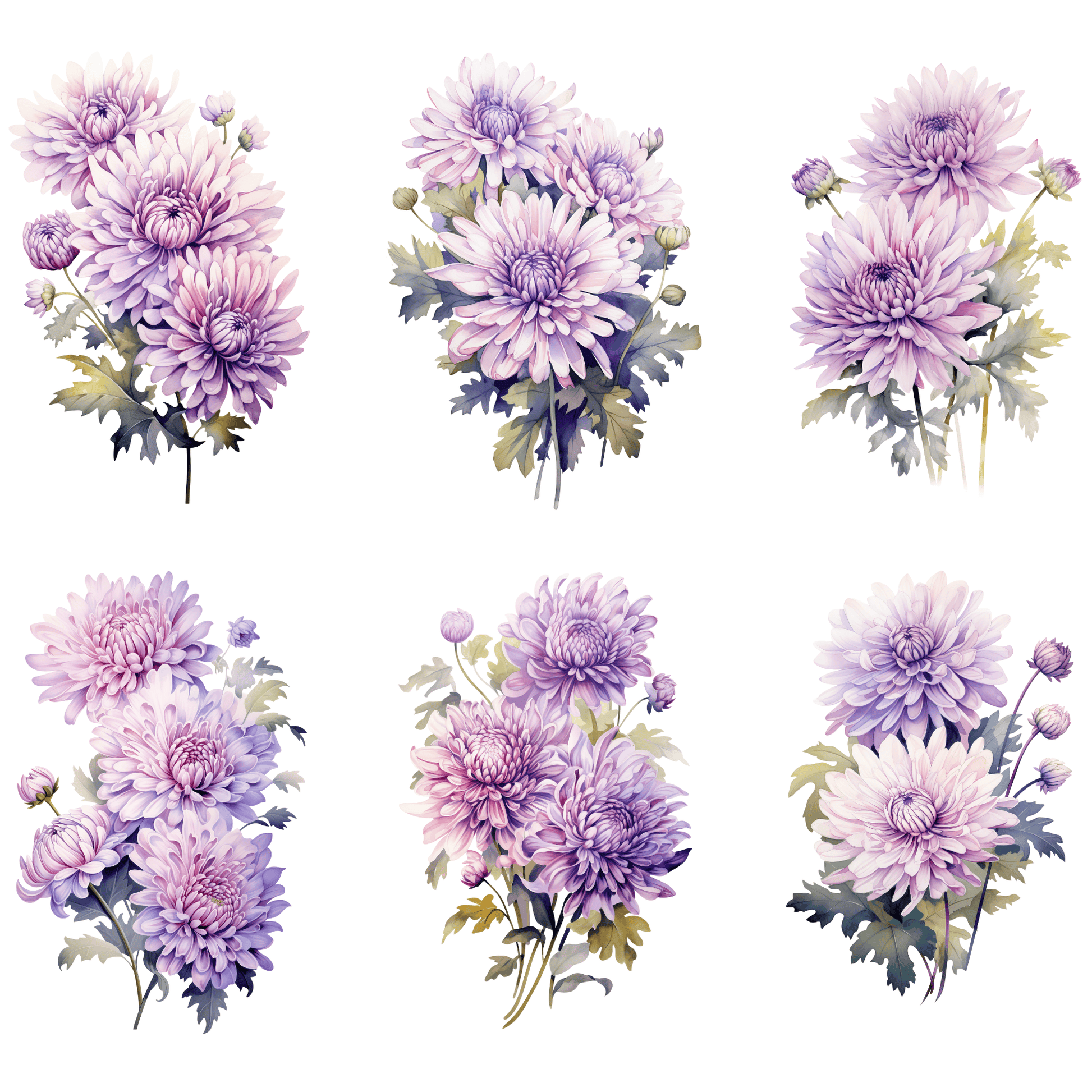 a bunch of purple flowers on a white background