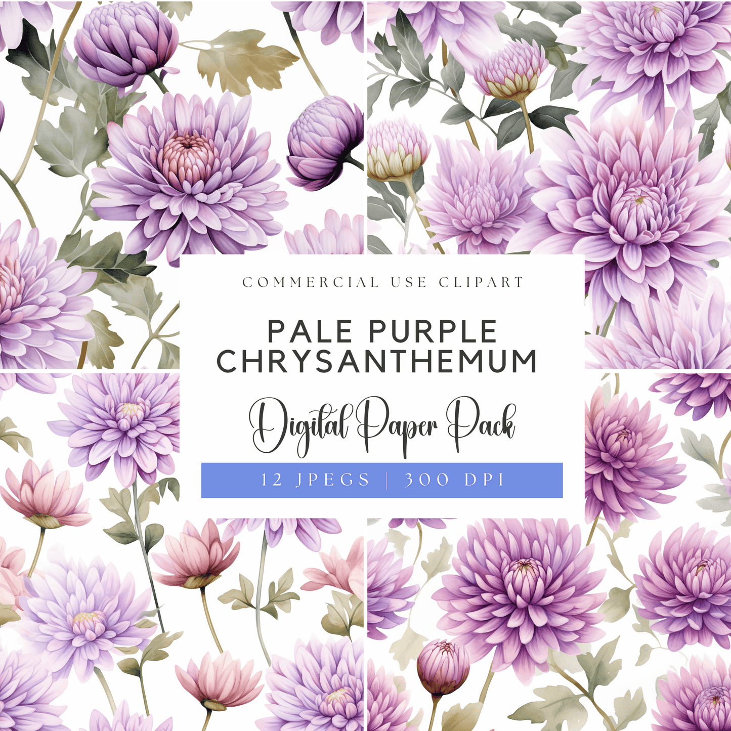 purple chrysanthemum digital paper pack