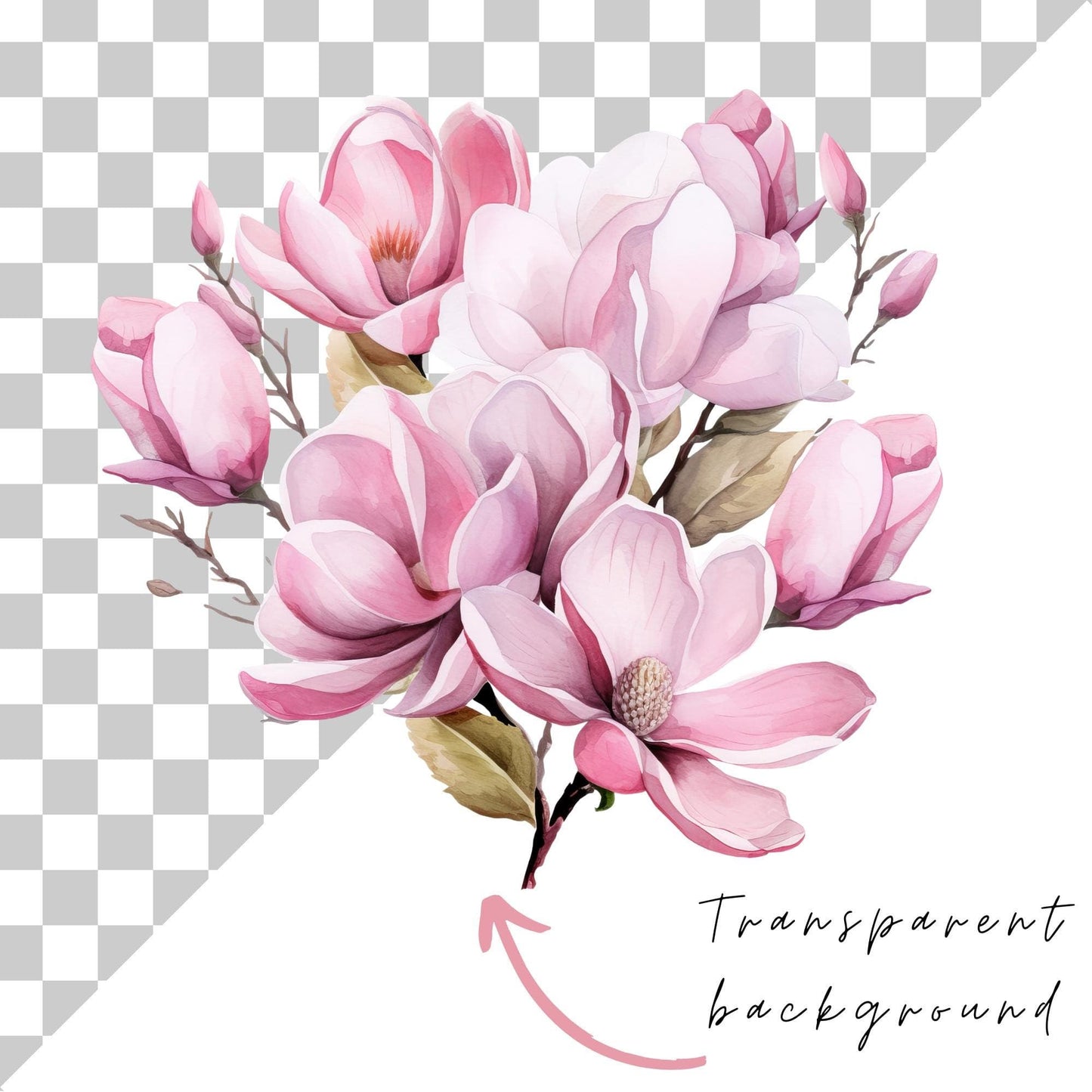 Pink Magnolia Clipart