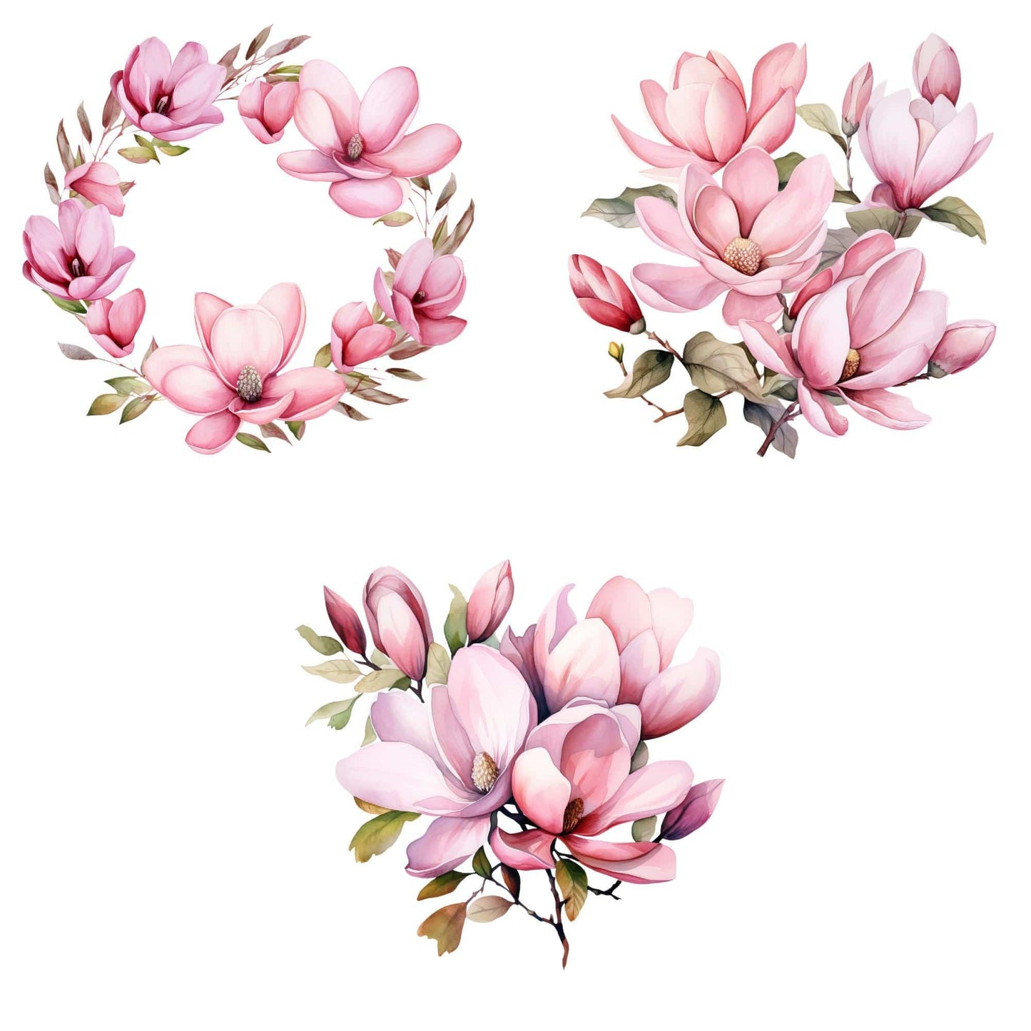 Pink Magnolia Clipart