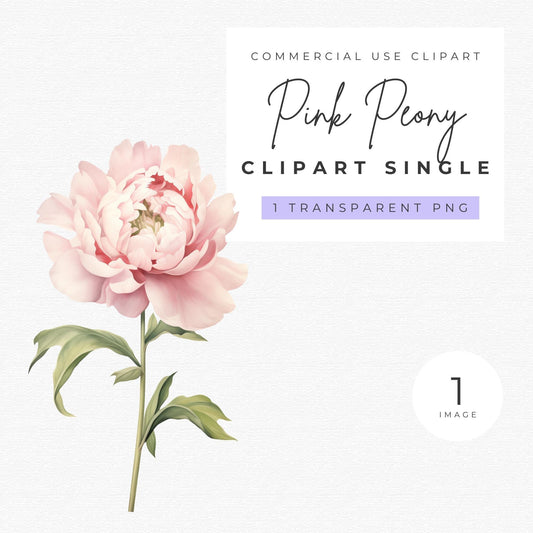Pink Peony Clipart Single