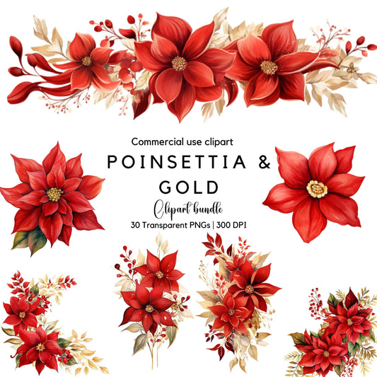 Poinsettia and Gold Floral Clipart