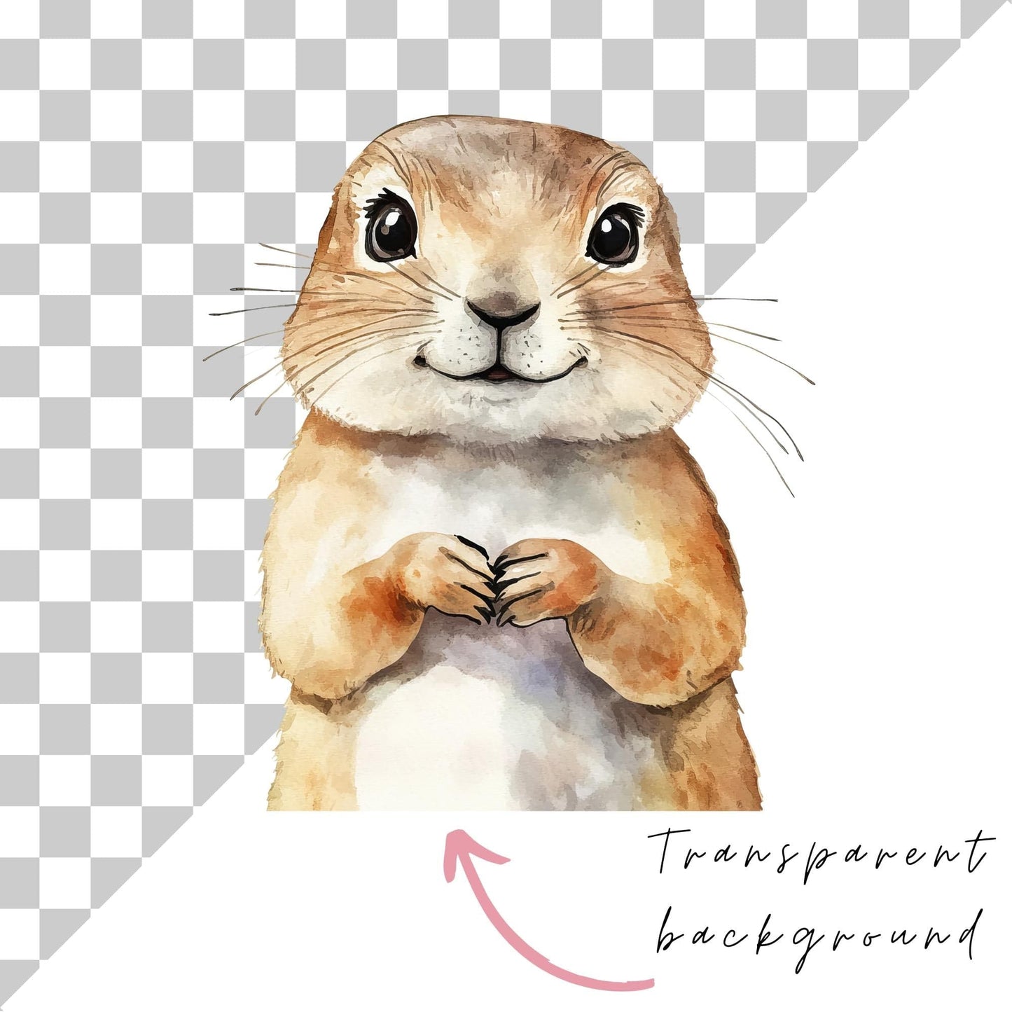 Prairie Dogs Clipart