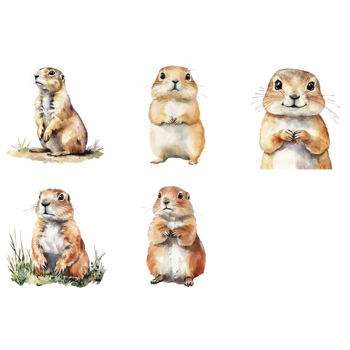 Prairie Dogs Clipart