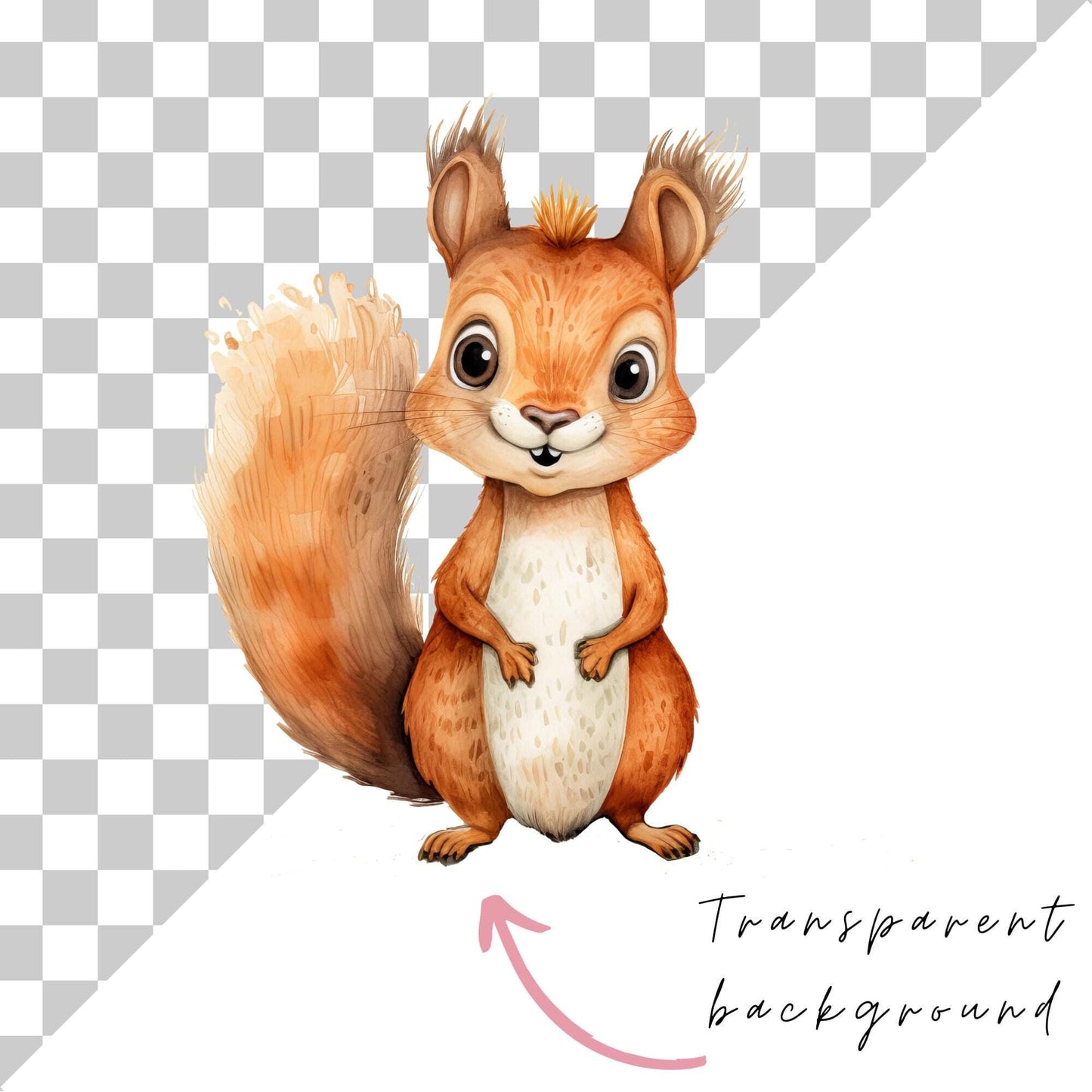 Quirky Woodland animal Clipart