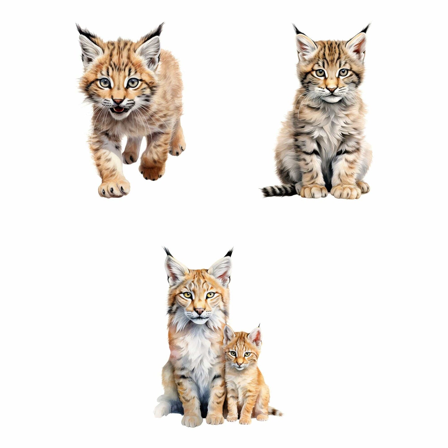 Realistic watercolor Lynx Clipart