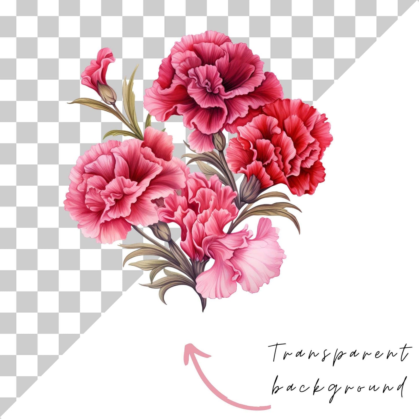 Red and Pink Carnation Clipart
