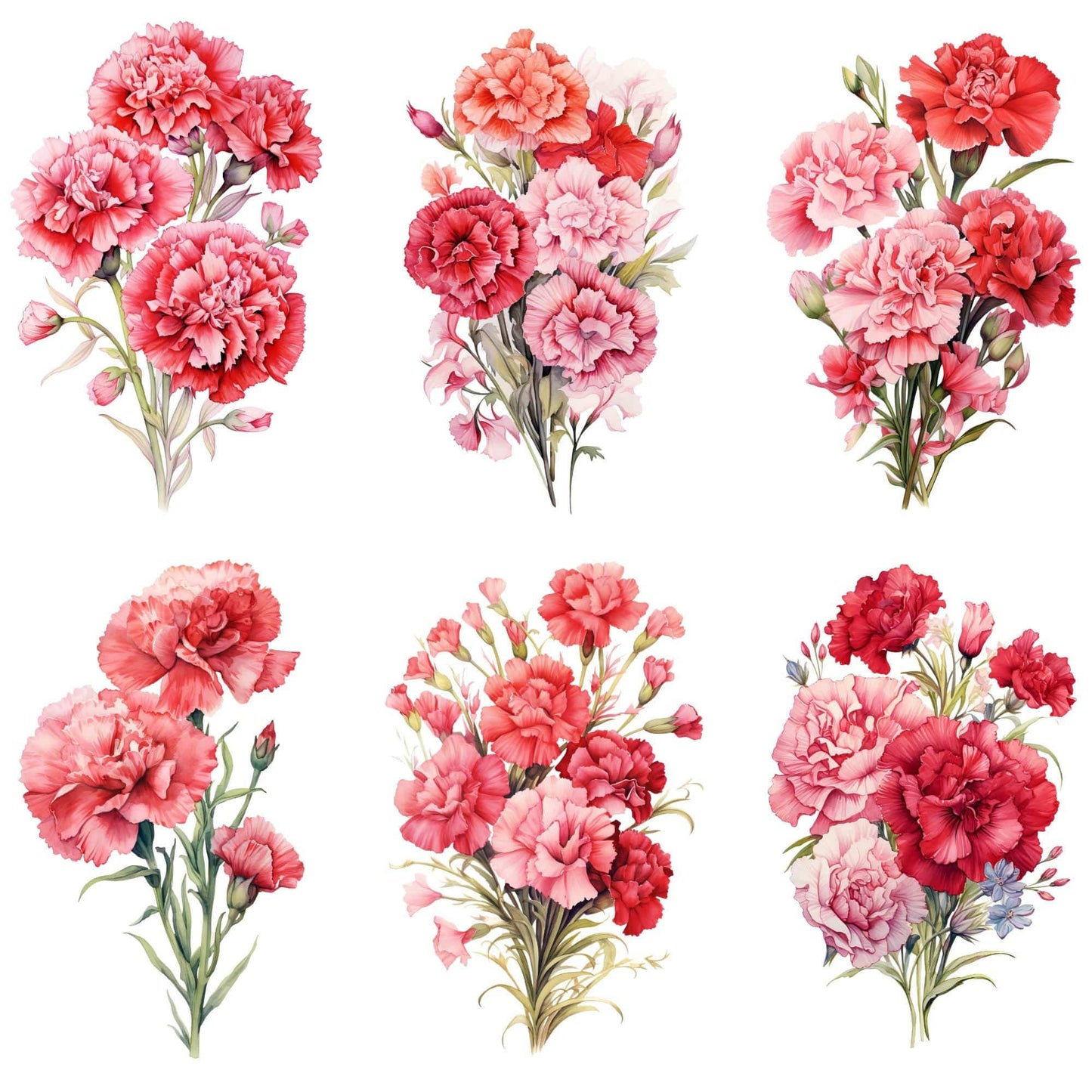 Red and Pink Carnation Clipart