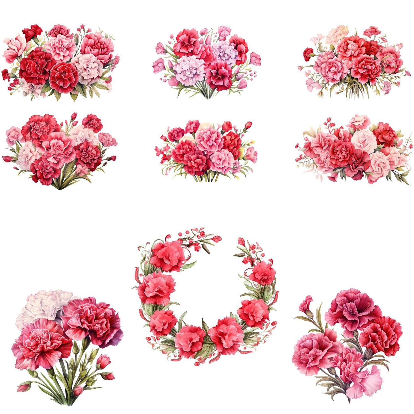 Red and Pink Carnation Clipart