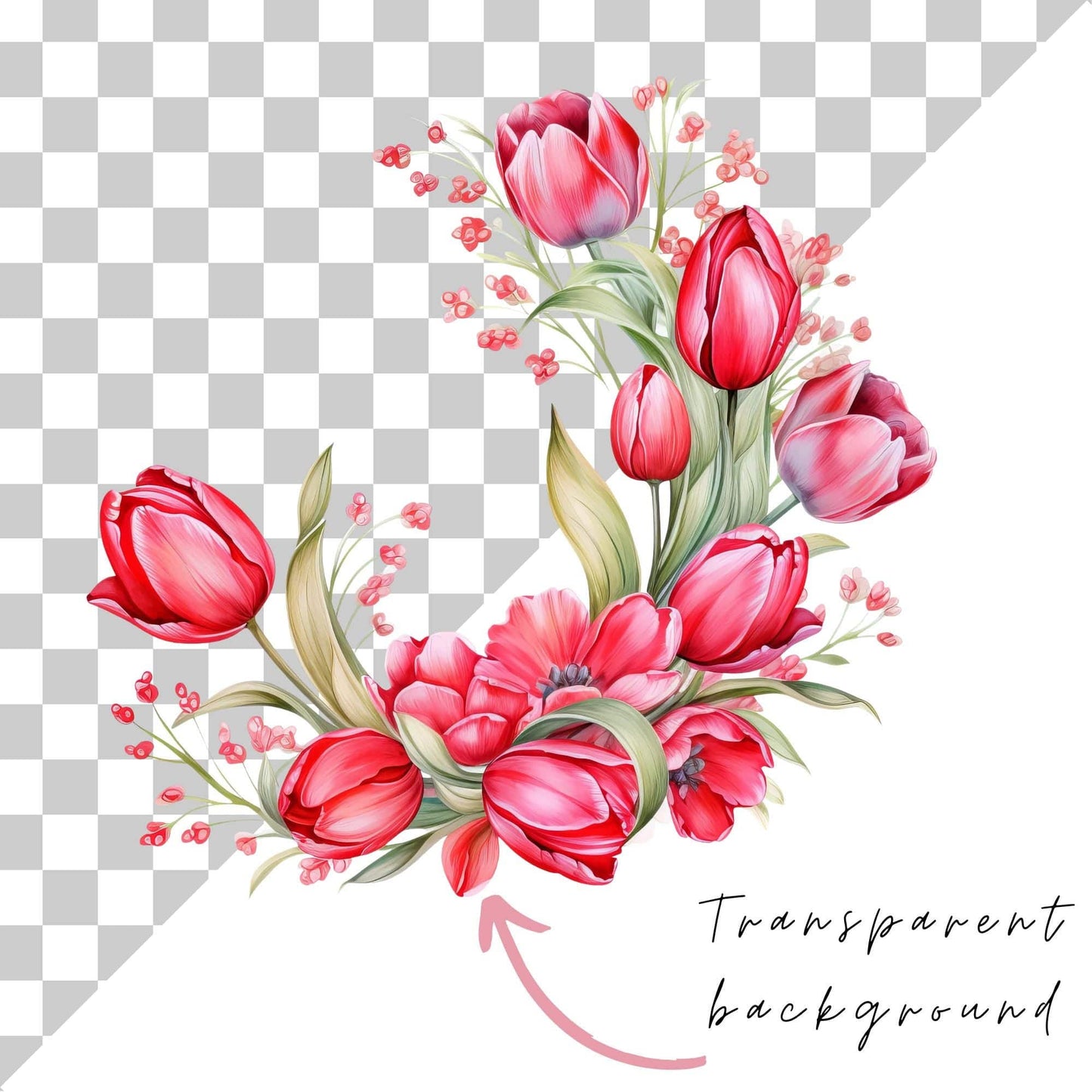 Red and Pink Tulip Clipart
