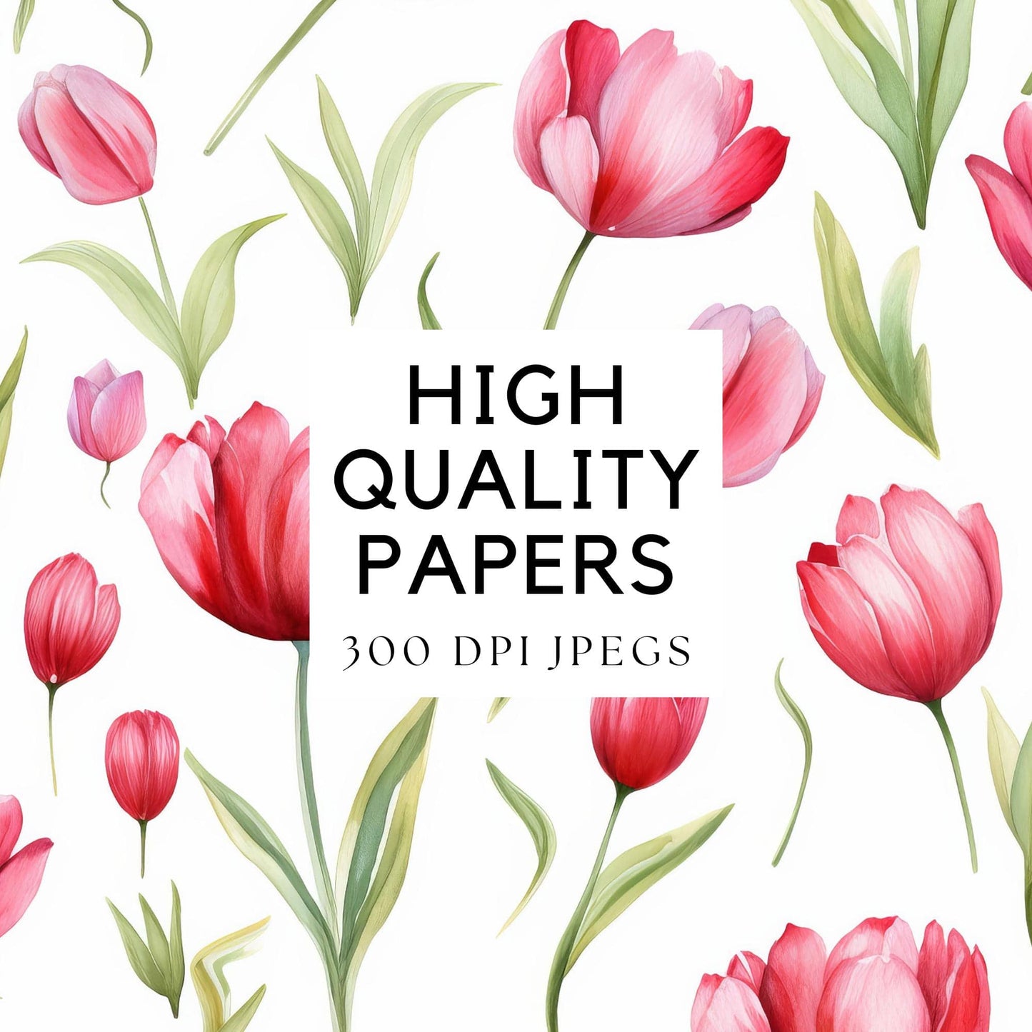 Red and Pink Tulip Digital Papers
