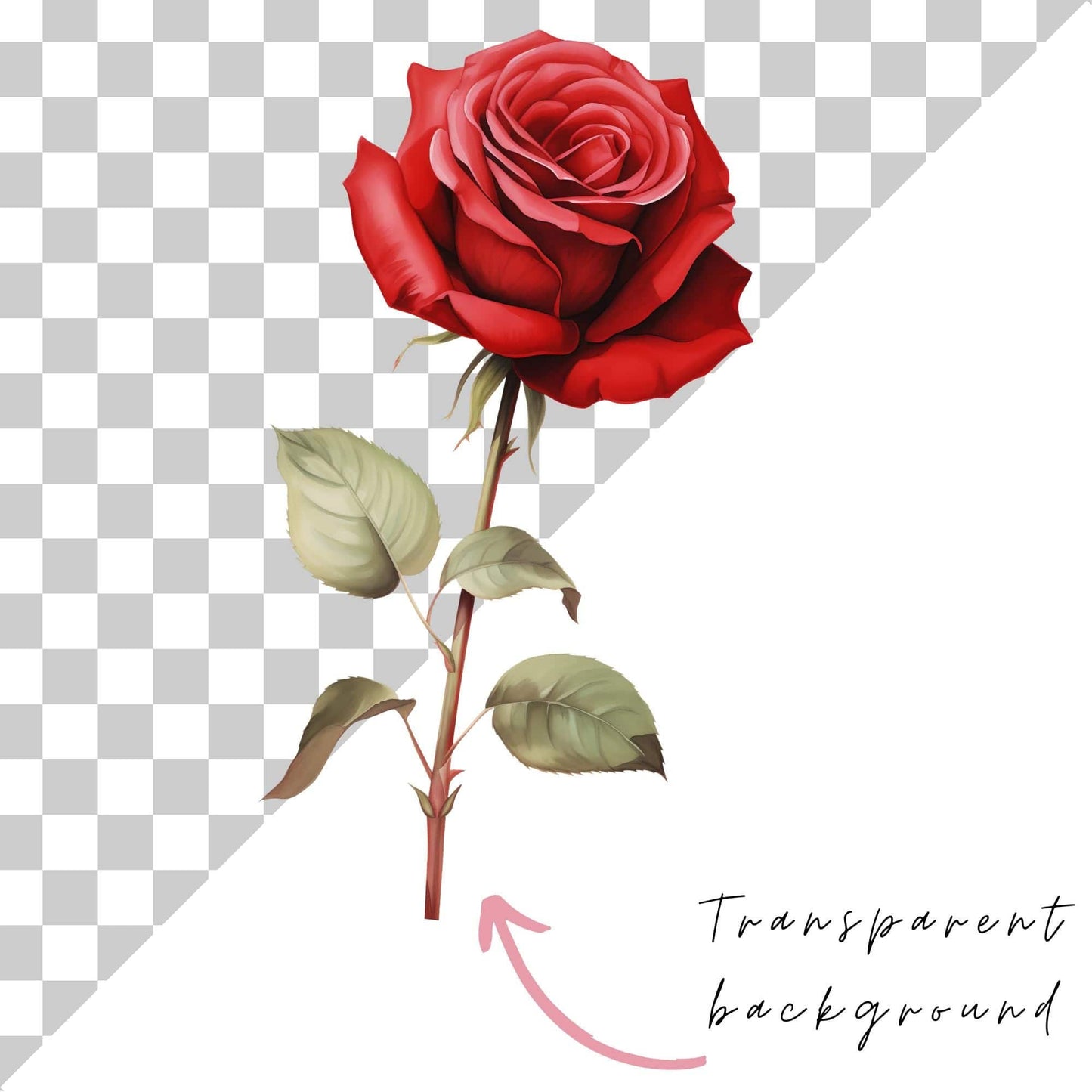 Red Rose Clipart Single
