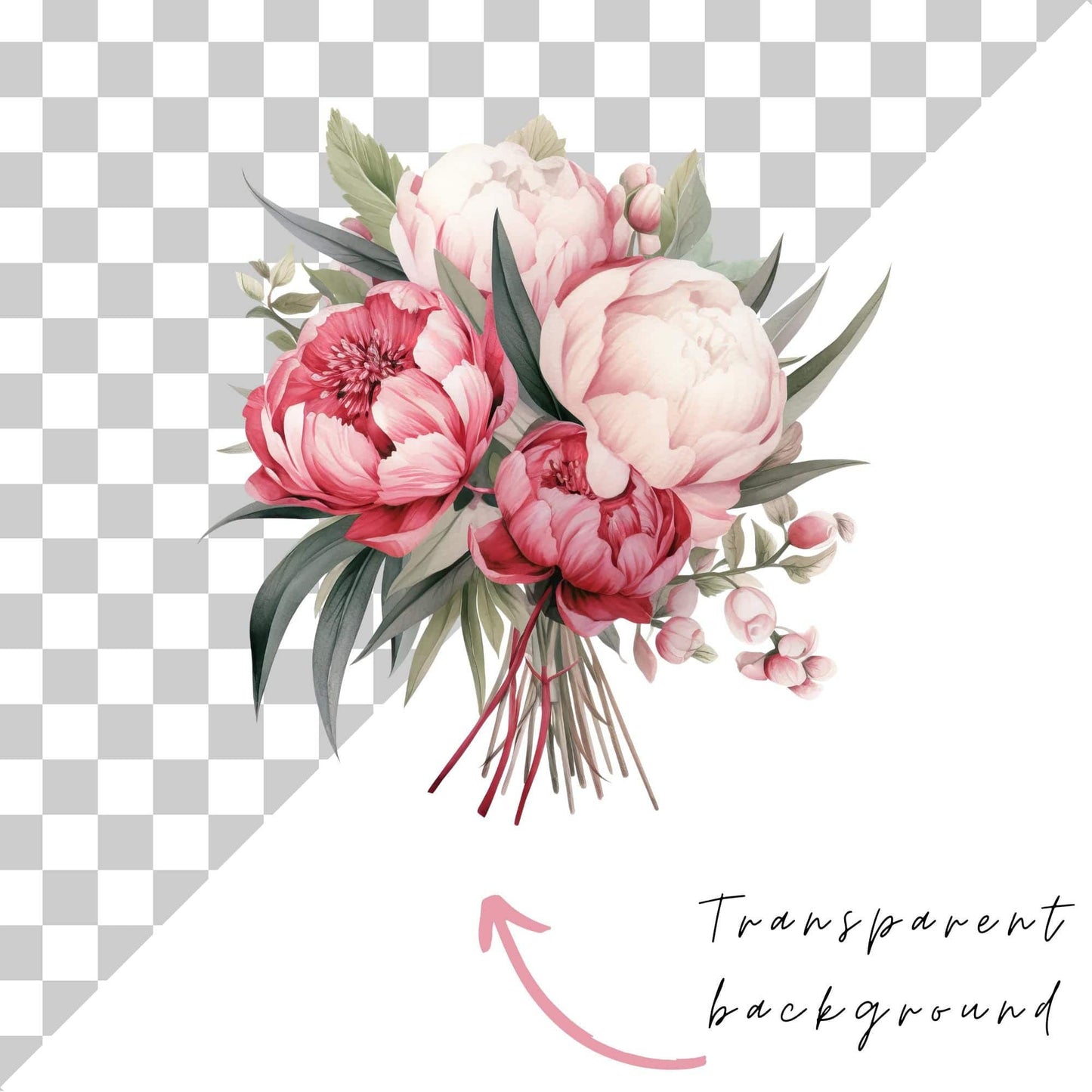 Red, White, and Blush Peony Clipart