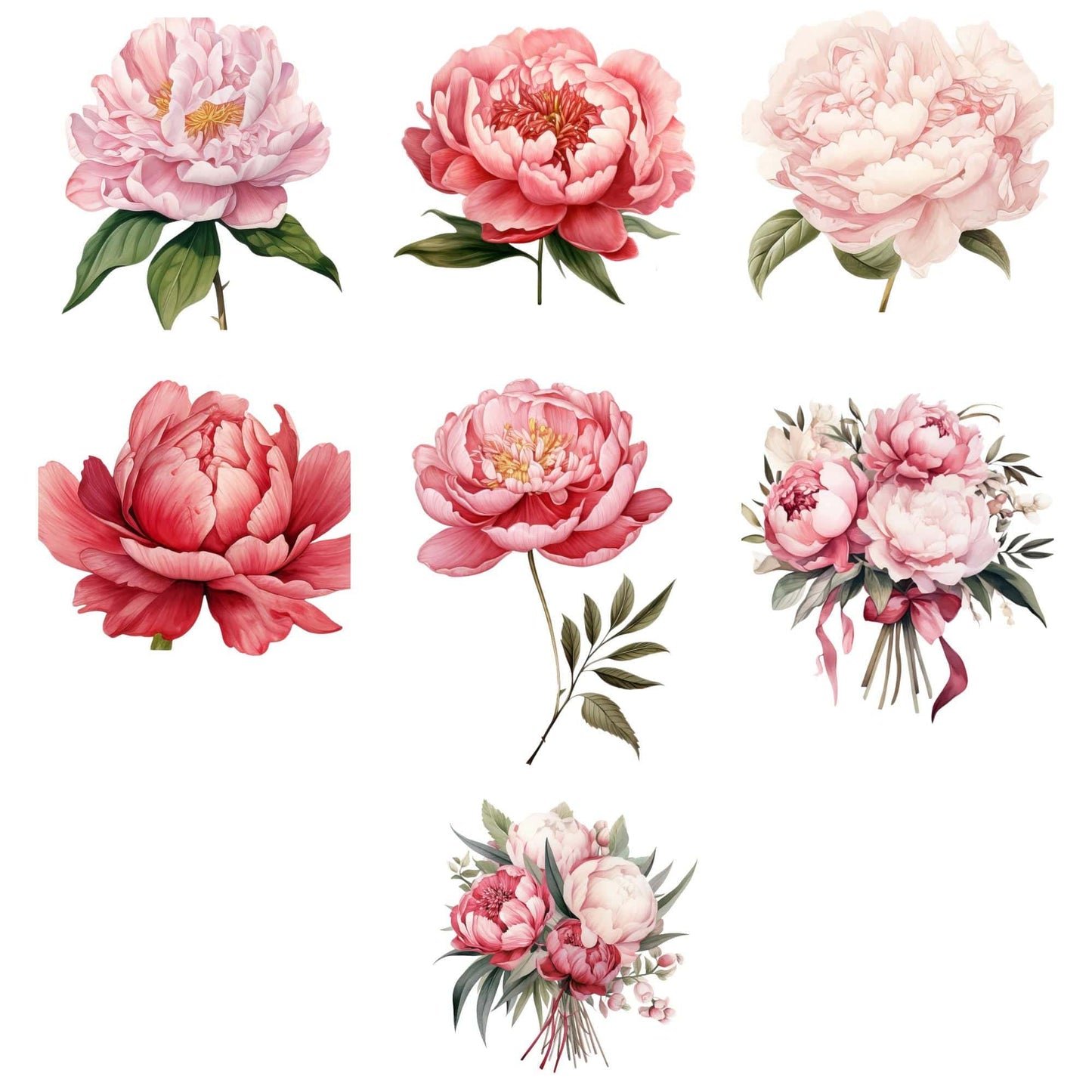 Red, White, and Blush Peony Clipart