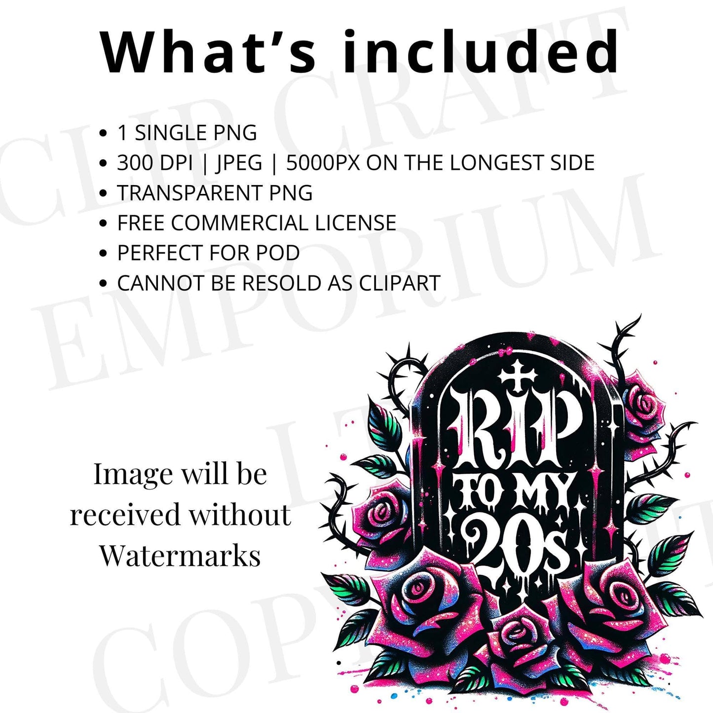 RIP to My 20s PNG