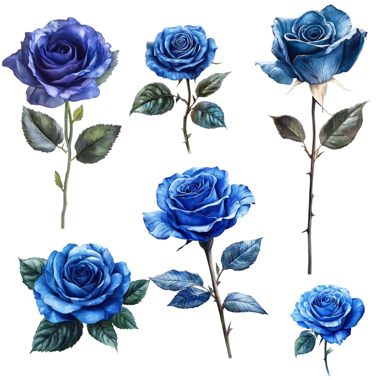 Royal Blue Roses Clipart