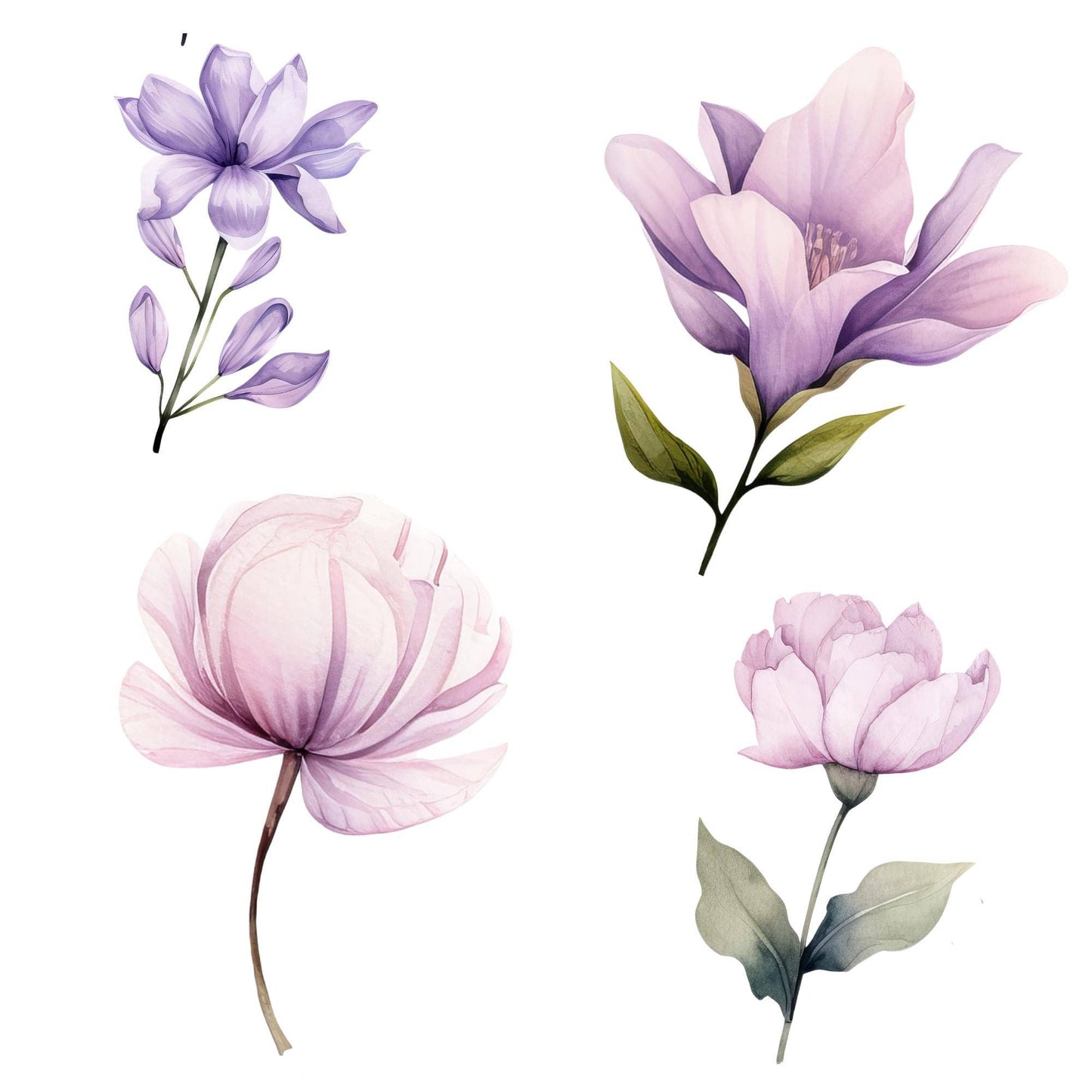 Soft Lavender & Blush Floral Clipart