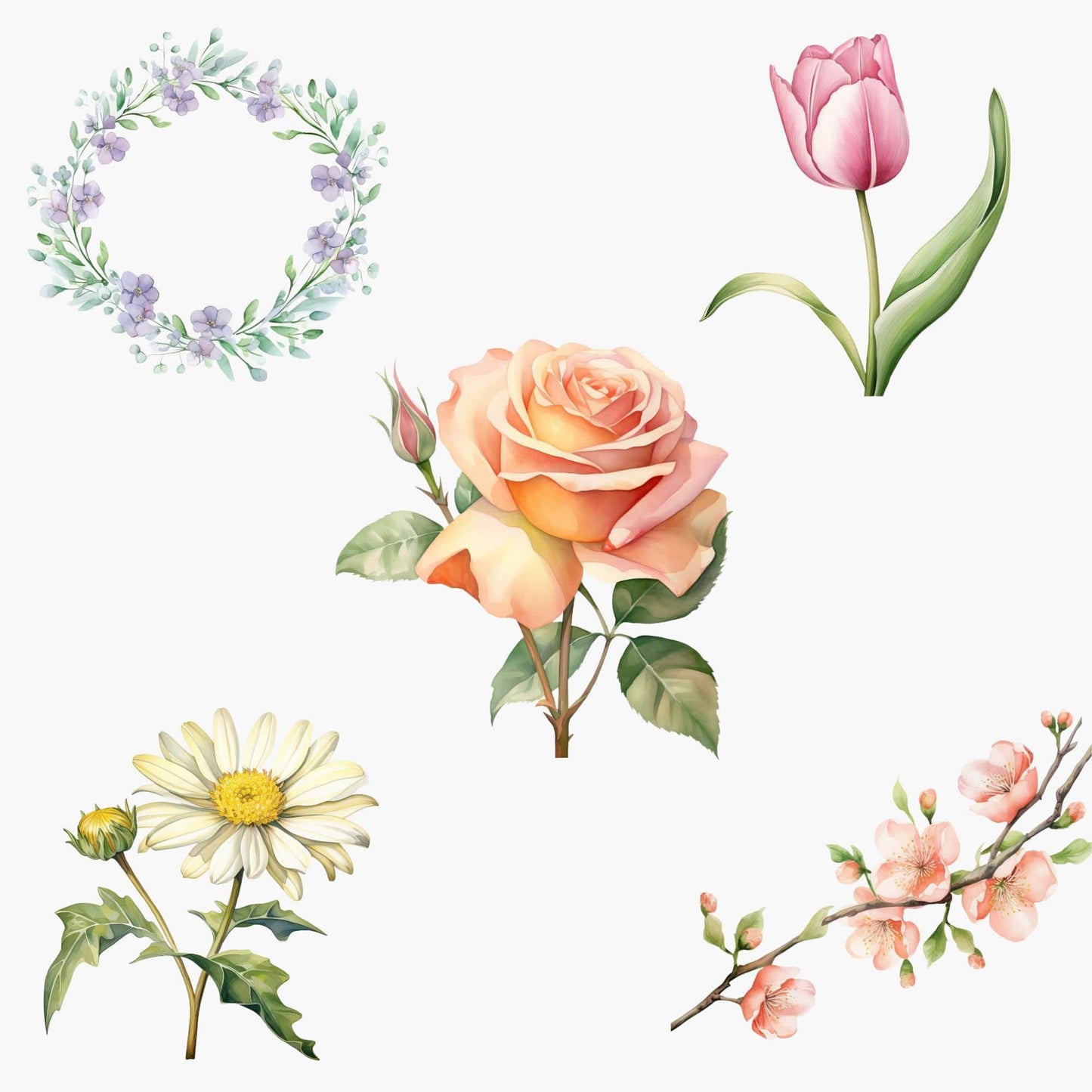 Spring Floral Clipart