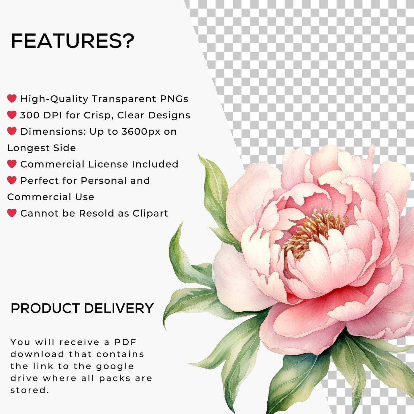 Spring Floral Clipart