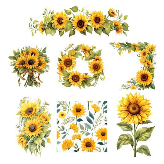Sunflower clipart