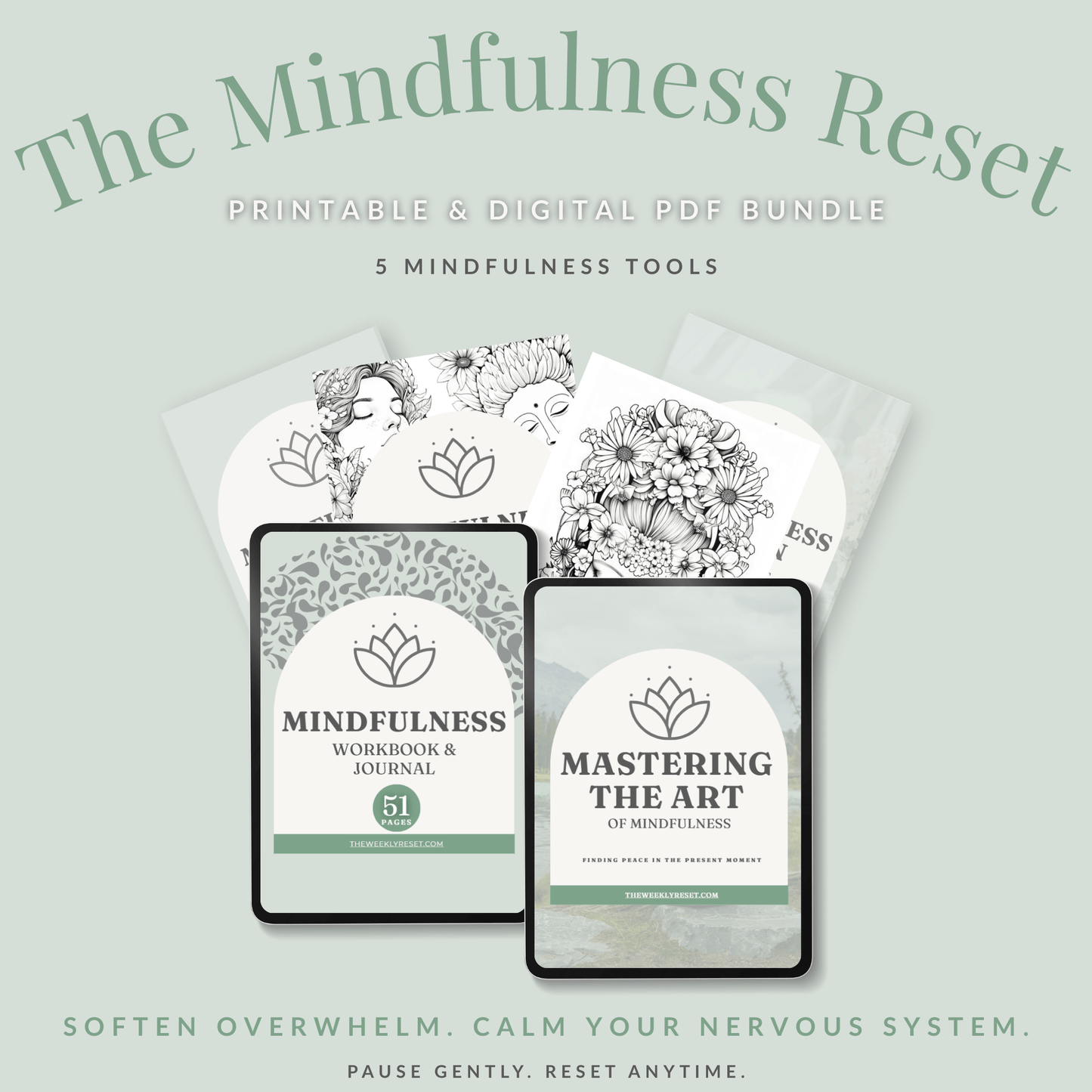 The Mindfulness Reset