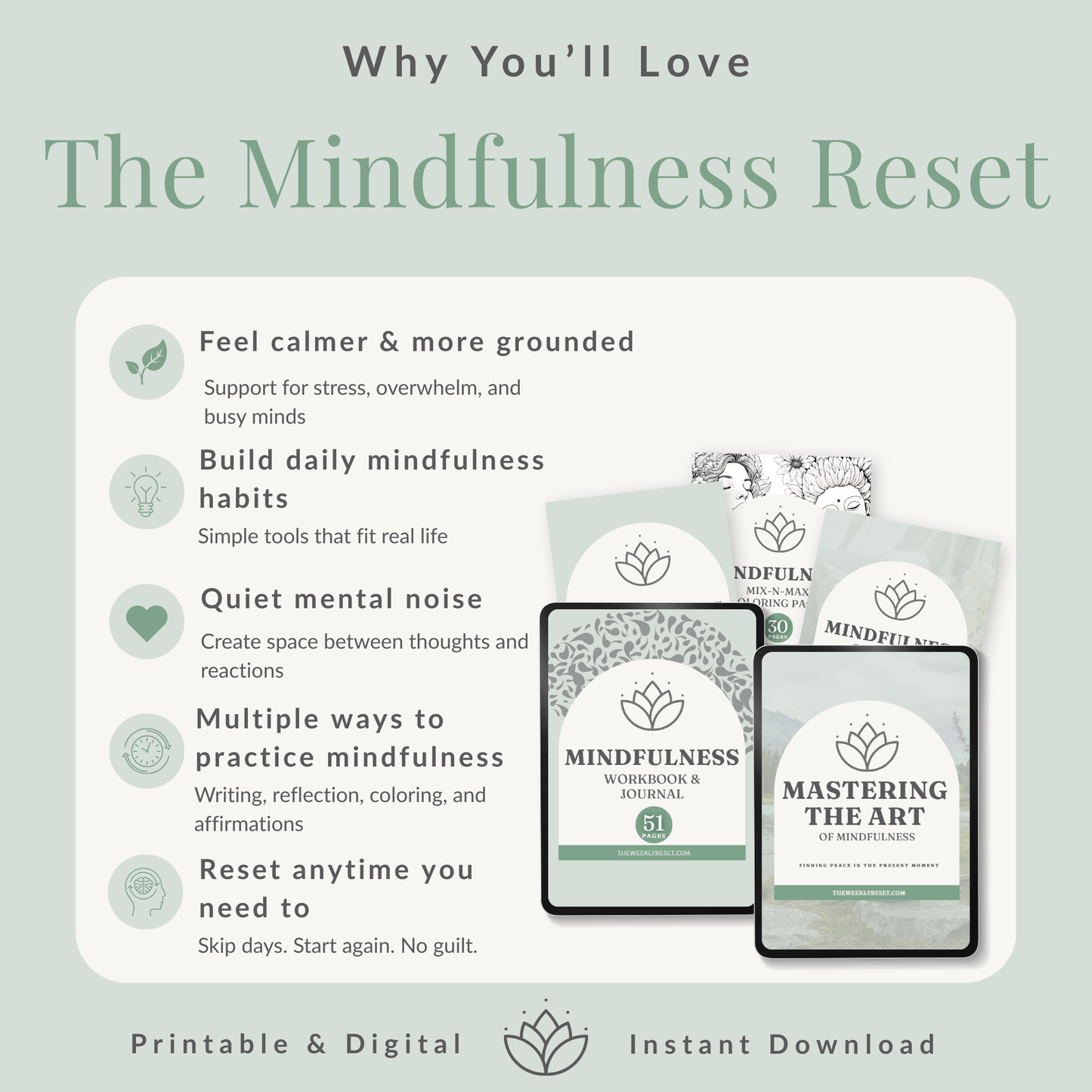 The Mindfulness Reset