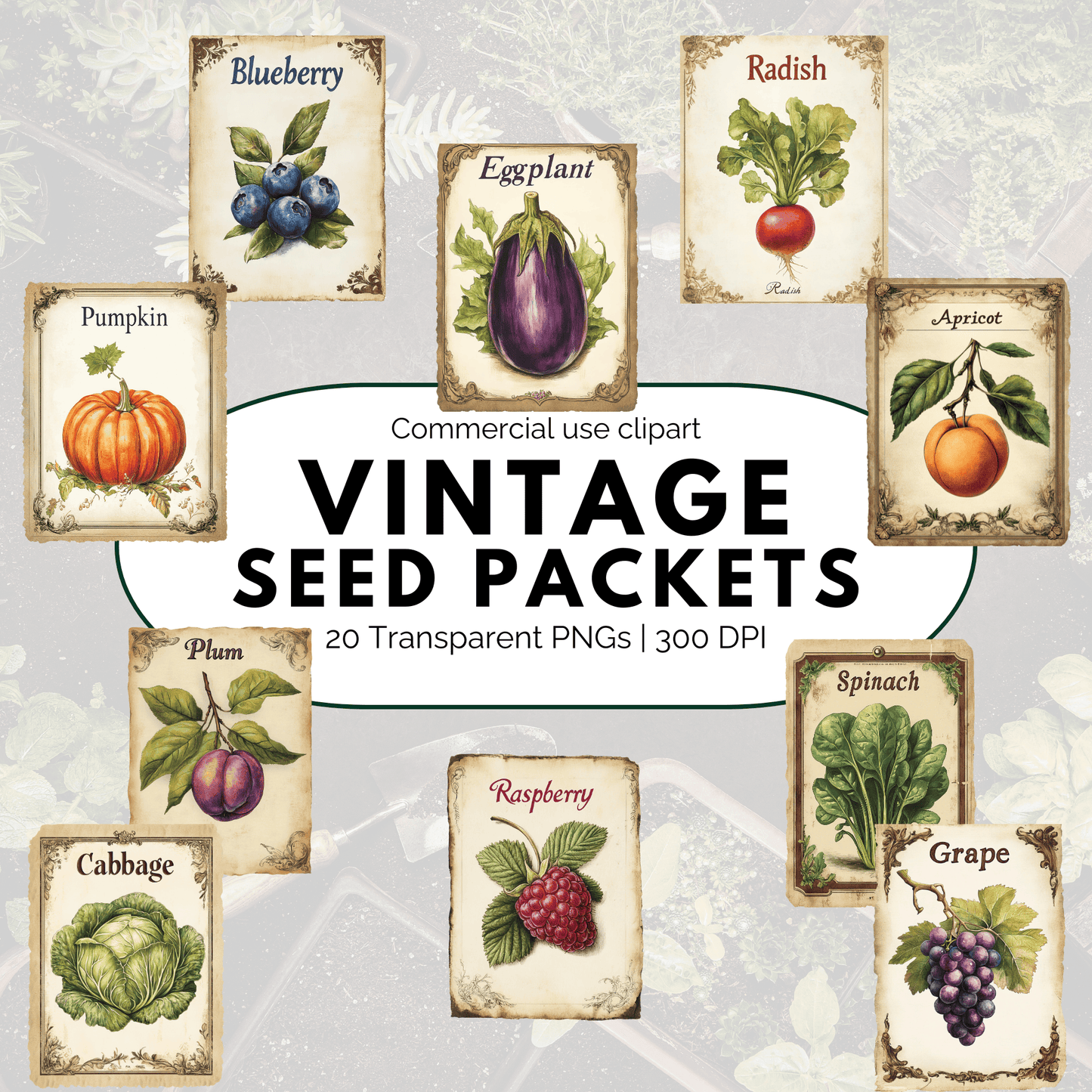 Vintage Seed Packet Clipart