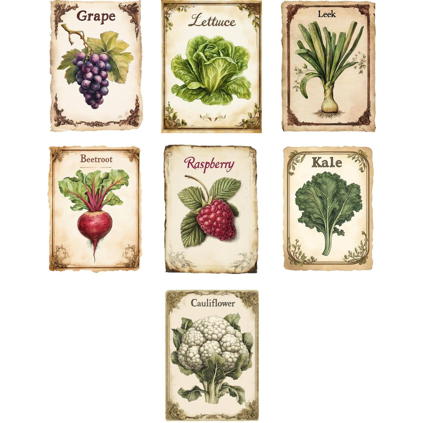 Vintage Seed Packet Clipart